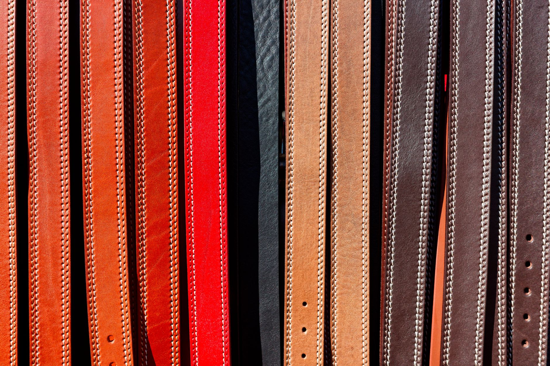 Best Back Support Belts (2026)