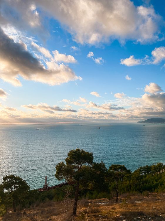Scenic Coastal View with Lush Forest and Blue Sky · Free Stock Photo