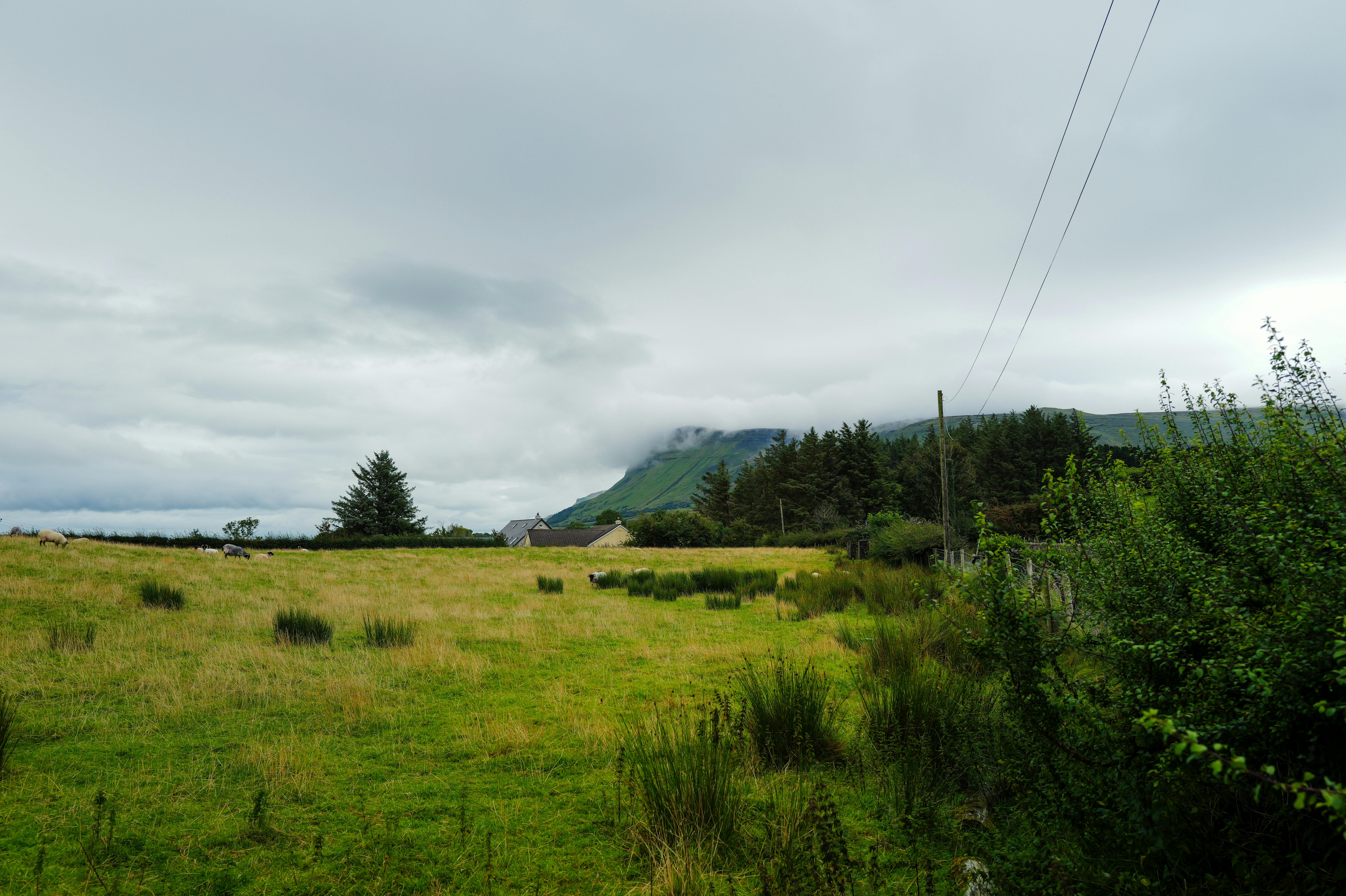Tranquil countryside scene featuring green fields and distant mountains under a cloudy sky.