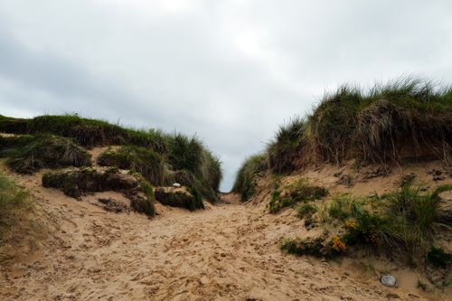 Free A sandy pathway leading through grassy sand dunes under an overcast sky. Stock Photo