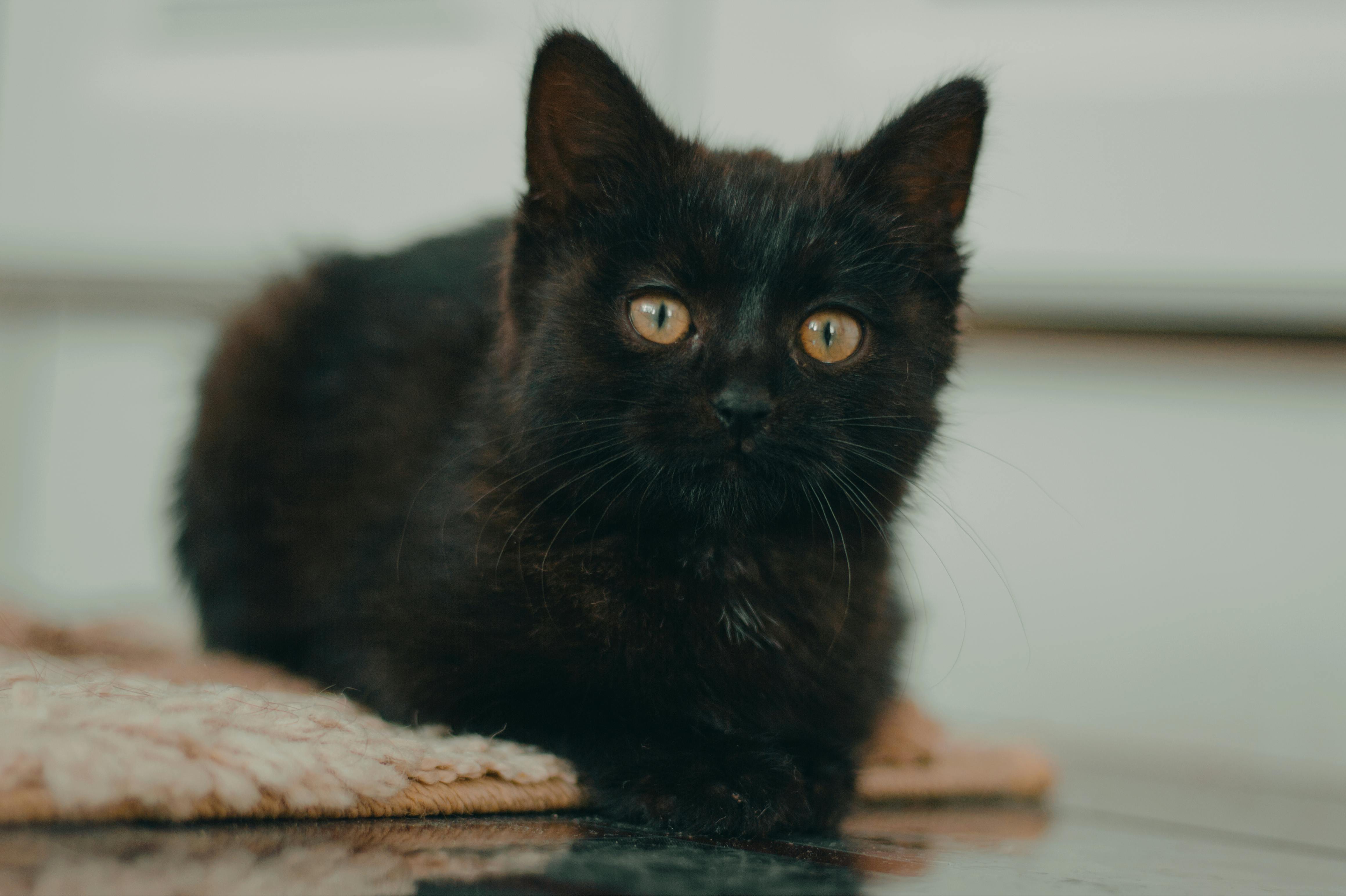 財經：房市管制再修正 央行2理事建議放寬控管措施