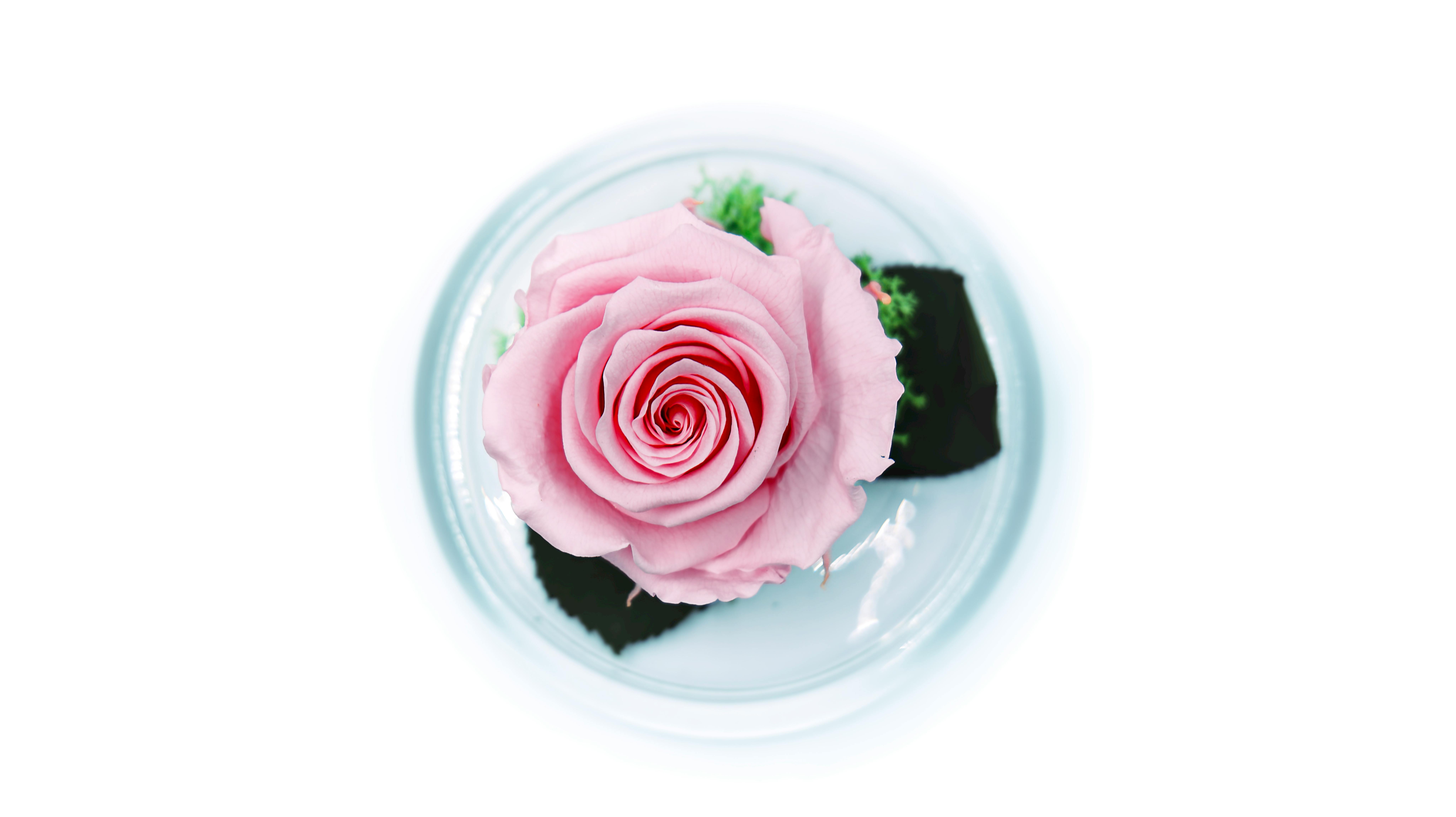 수능 선물 상세 이미지 3