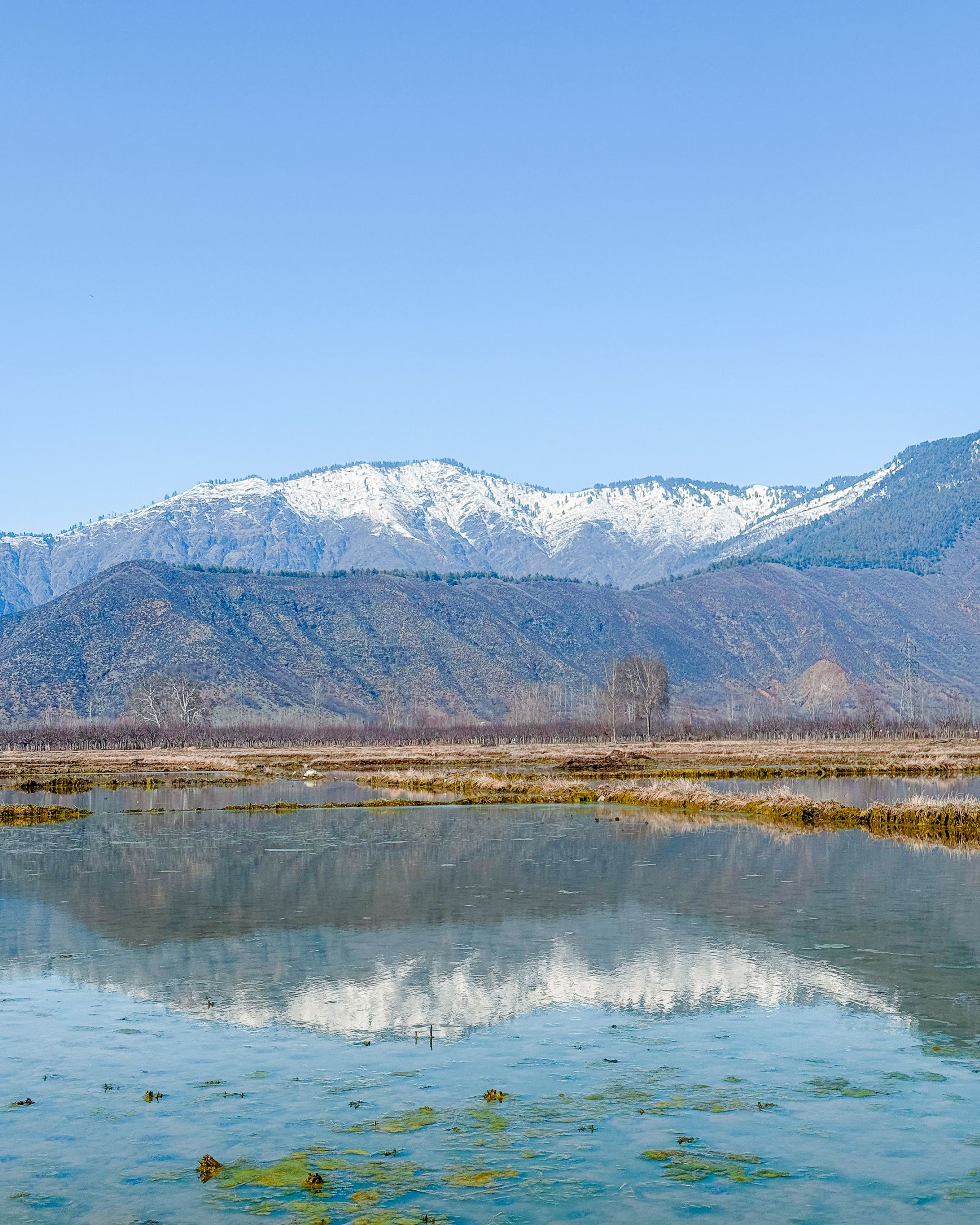 Serene Winter Landscape with Snowcapped Mountains · Free Stock Photo