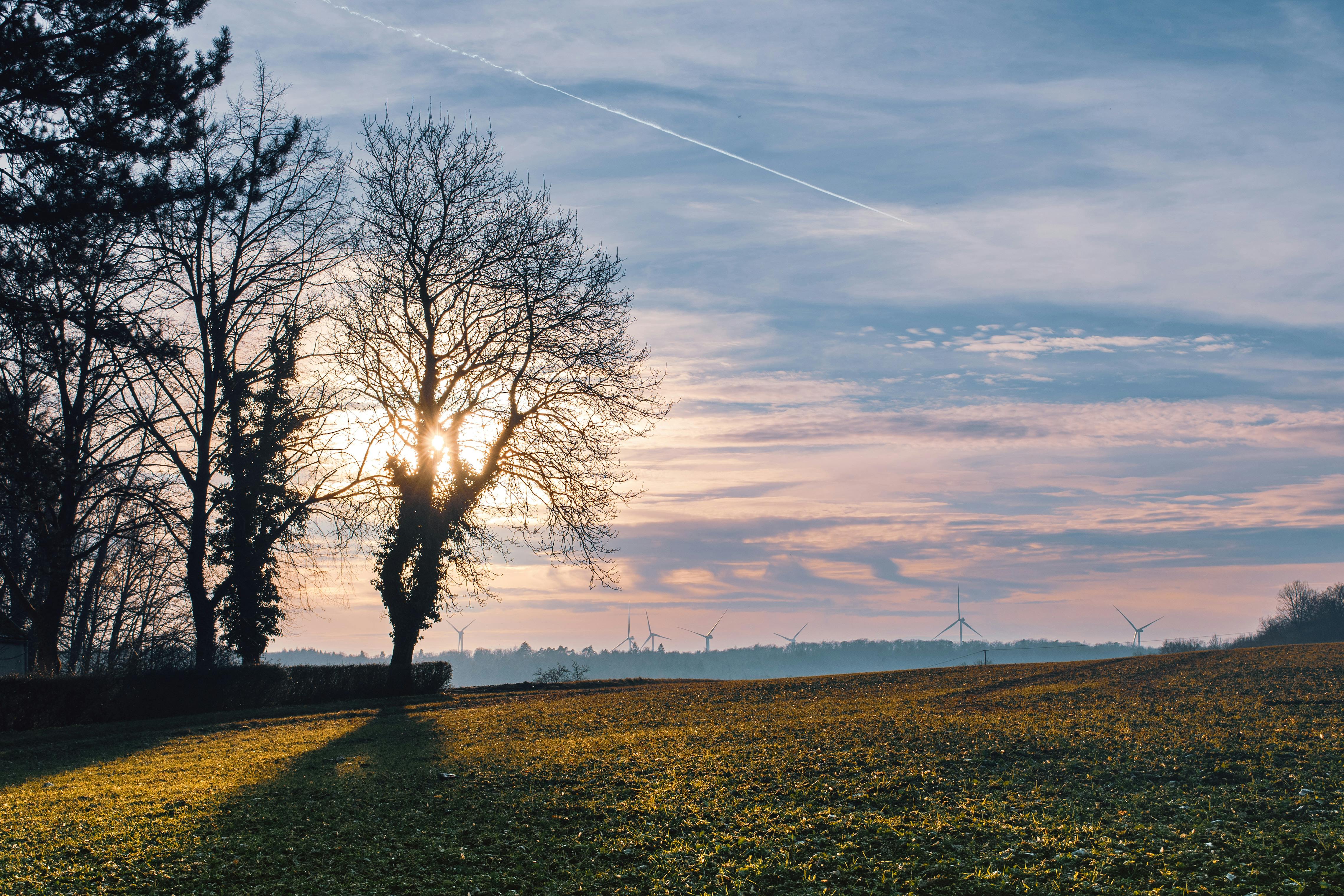 Renewable energy – powering a safer and prosperous future — Photo by Esmerald Heqimaj on Pexels