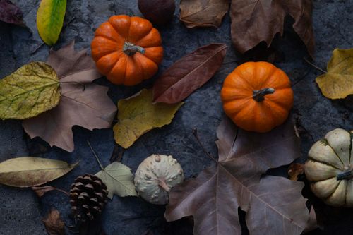 Free Vibrant pumpkins surrounded by dry autumn leaves on a textured stone surface, evoking fall ambiance. Stock Photo