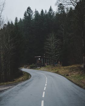 A tranquil road curving through a dense forest under a cloudy sky.
