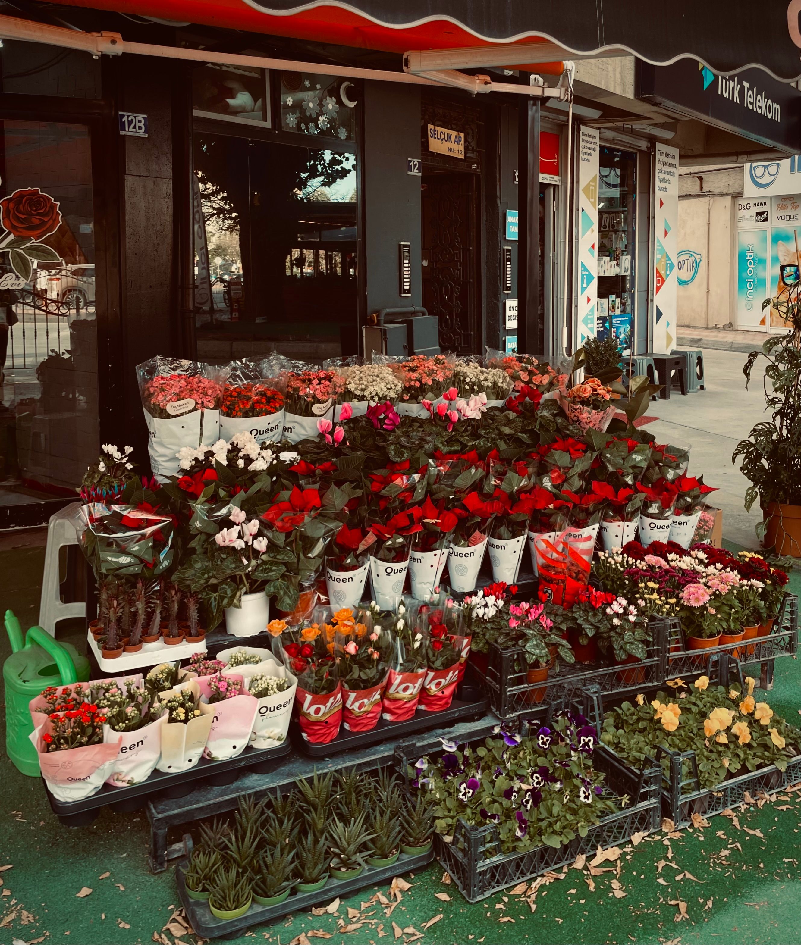 Street flower shop with diverse vibrant blooms in Istanbul, Turkey.