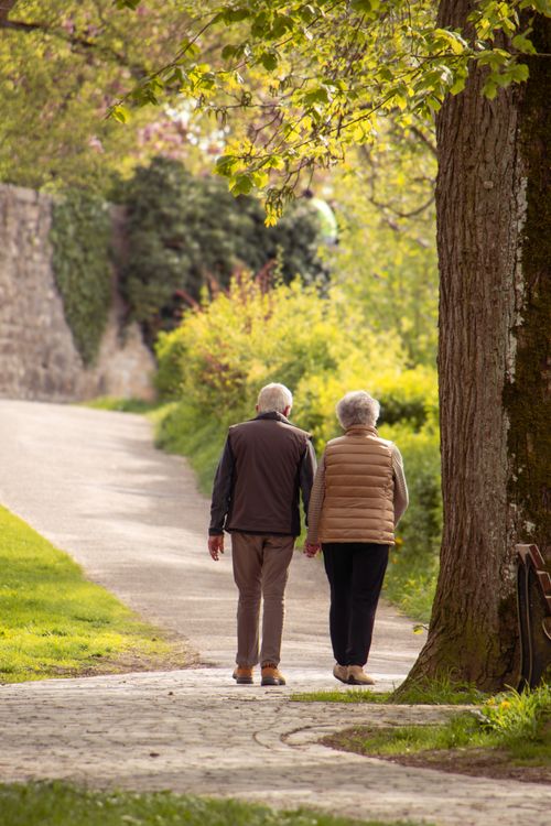 Free Elderly couple enjoying a peaceful walk in the lush Schwäbisch Hall park during spring. Stock Photo