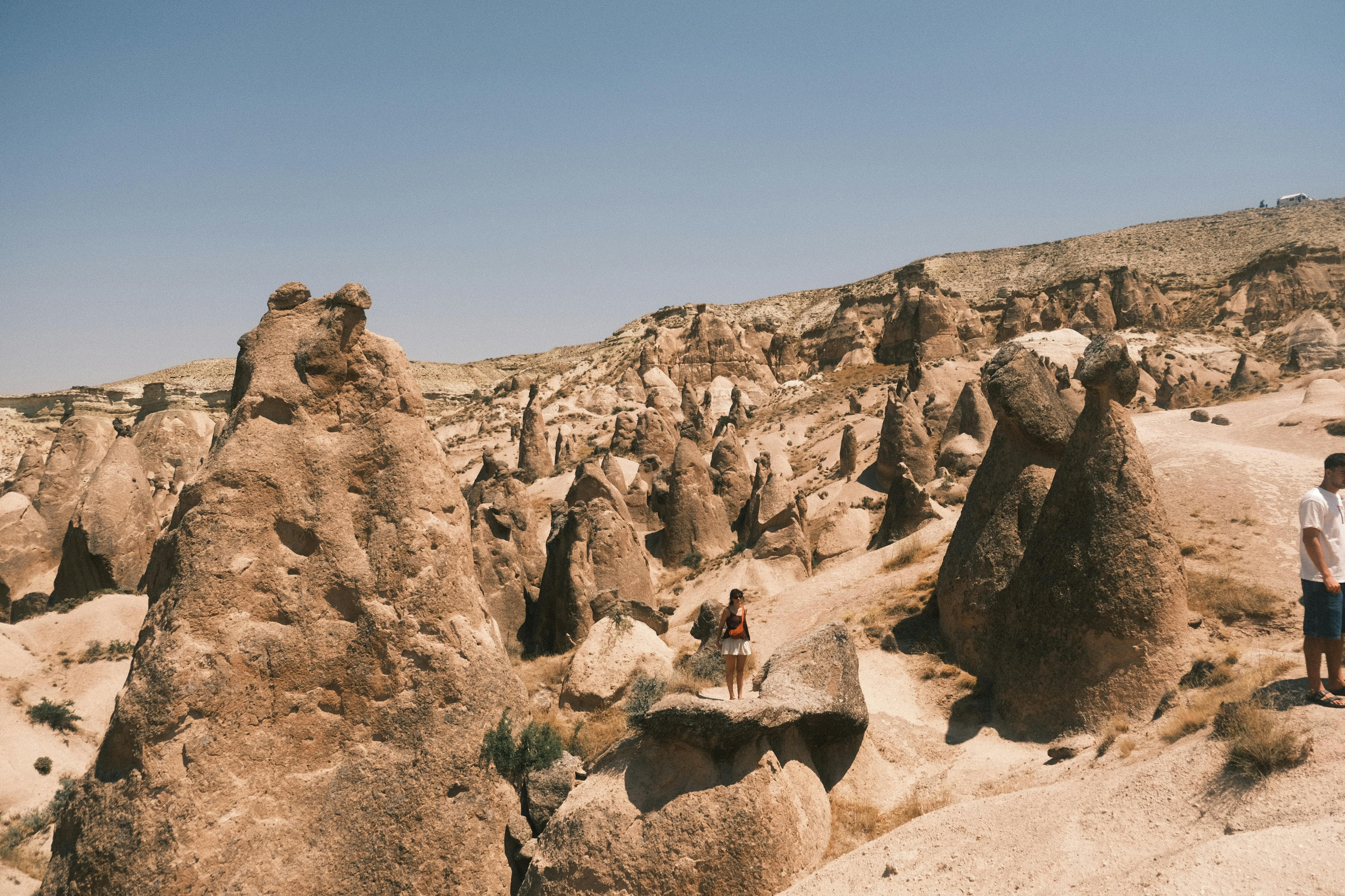 Climate Change: The Urgent Need for Action to Protect Our Environment