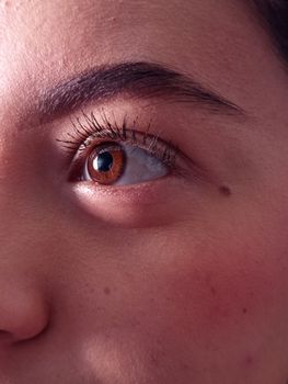 Detailed close-up of a person's eye highlighting the brown iris and eyebrow.