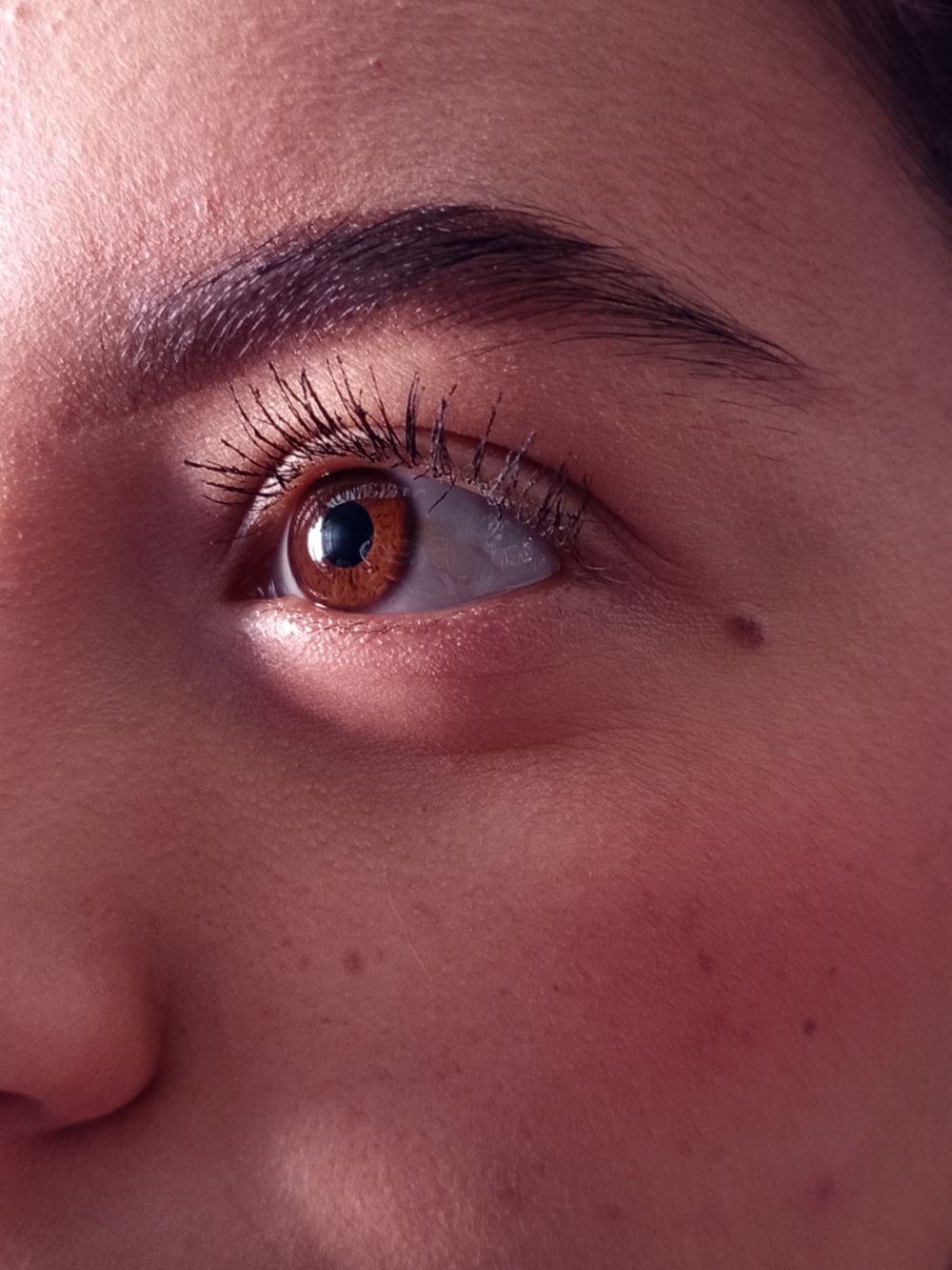 Sourcils et regard