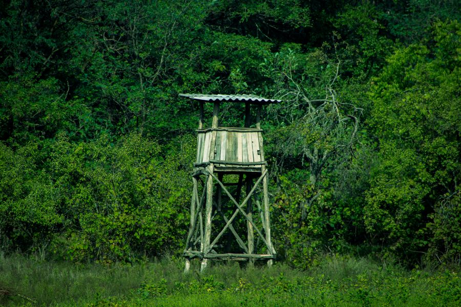 Sudhanyakhali Watch Tower photo 3