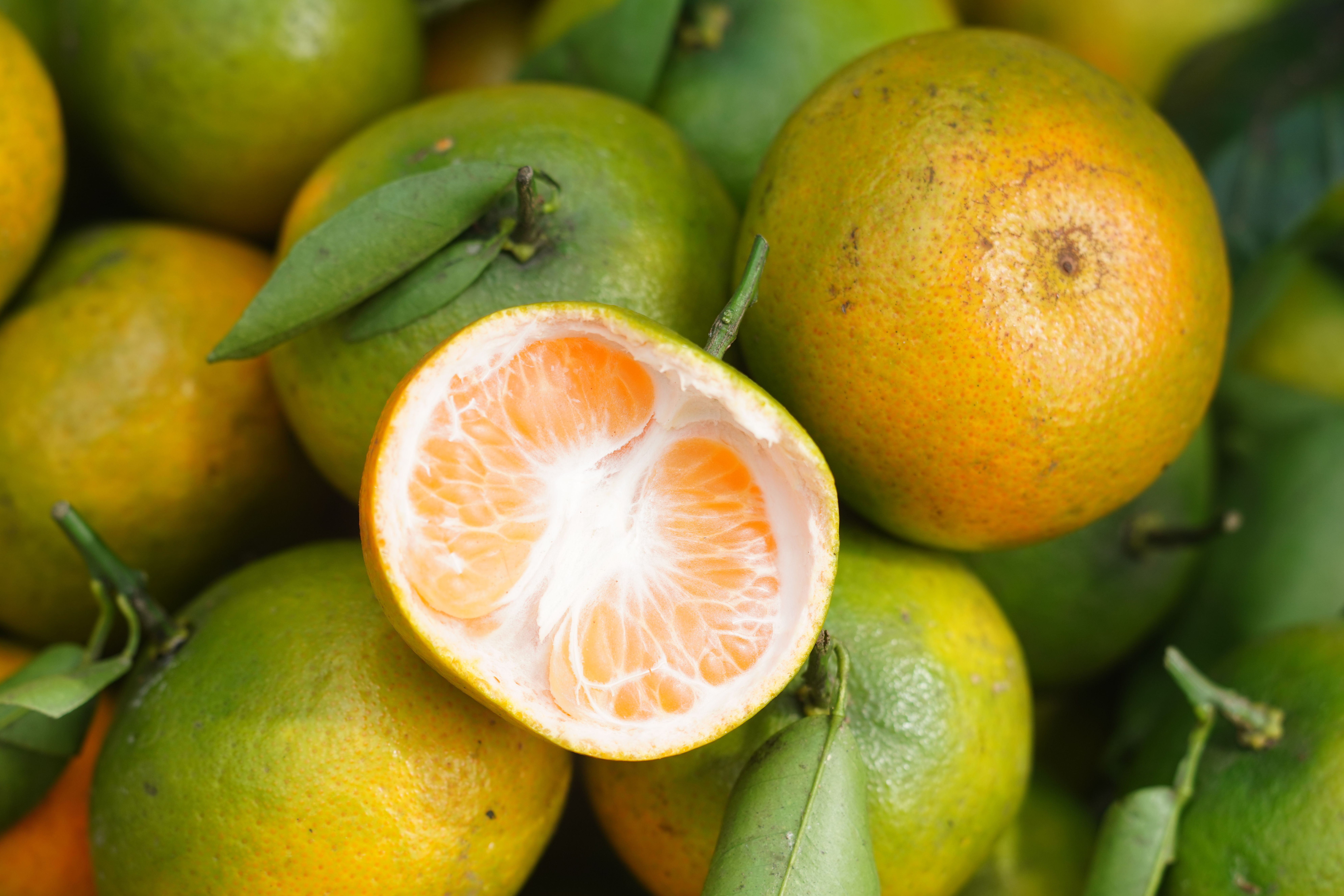 Vitamin c serum glowing skin — Dicas de Beleza