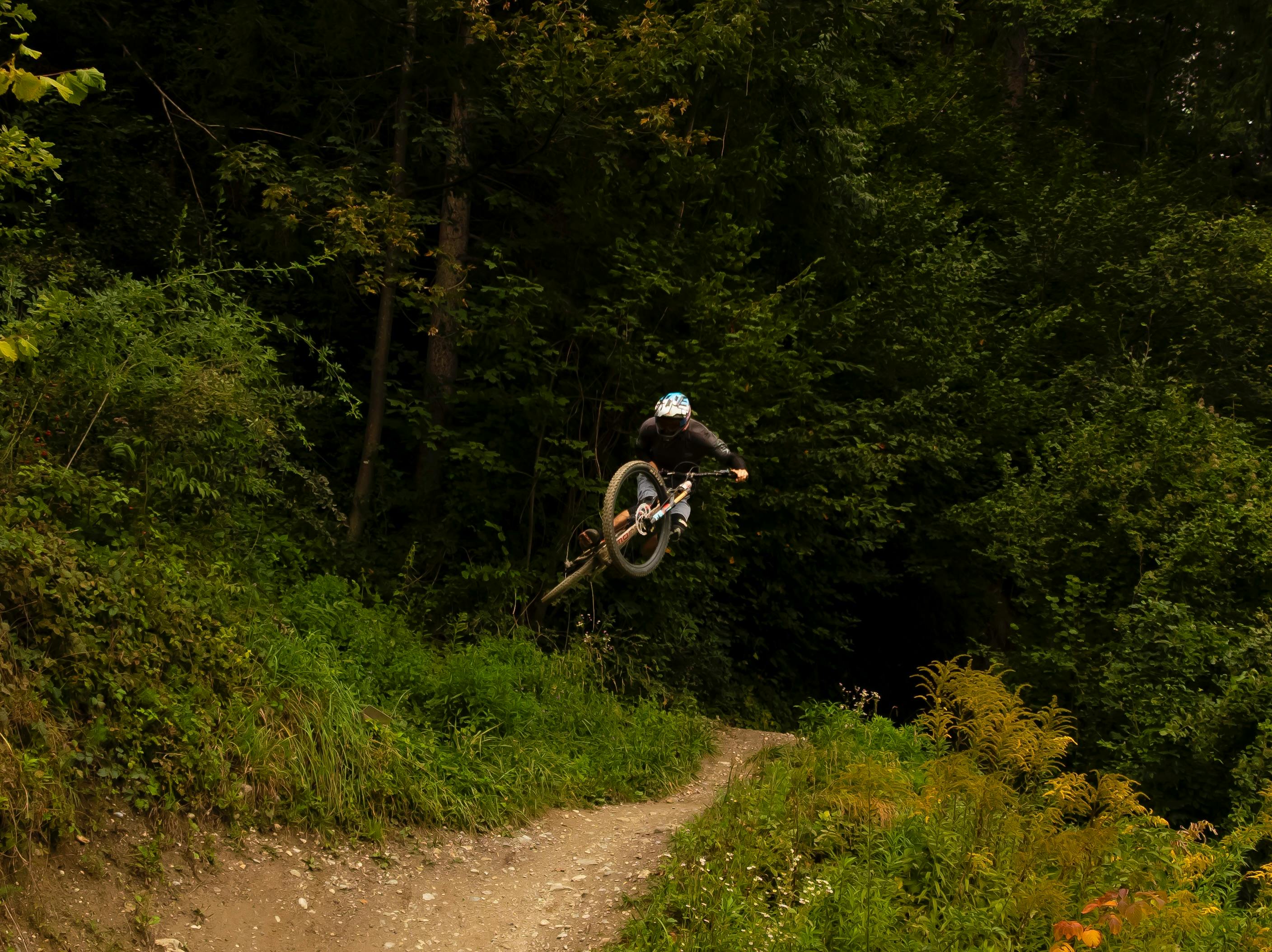 Dramatic shot of a mountain biker catching air on a forest trail.