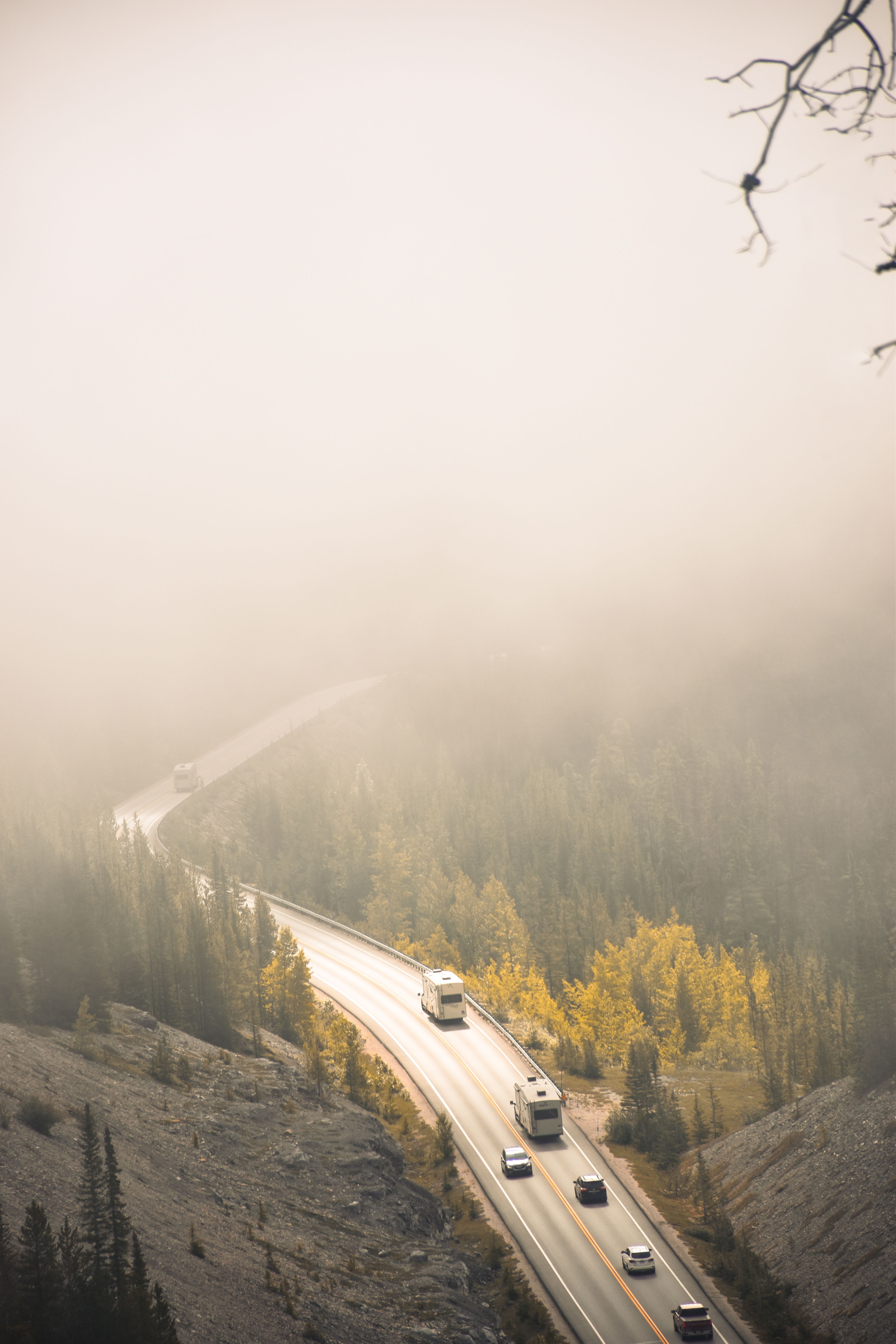 Misty Mountain Road with Autumn Foliage · Free Stock Photo