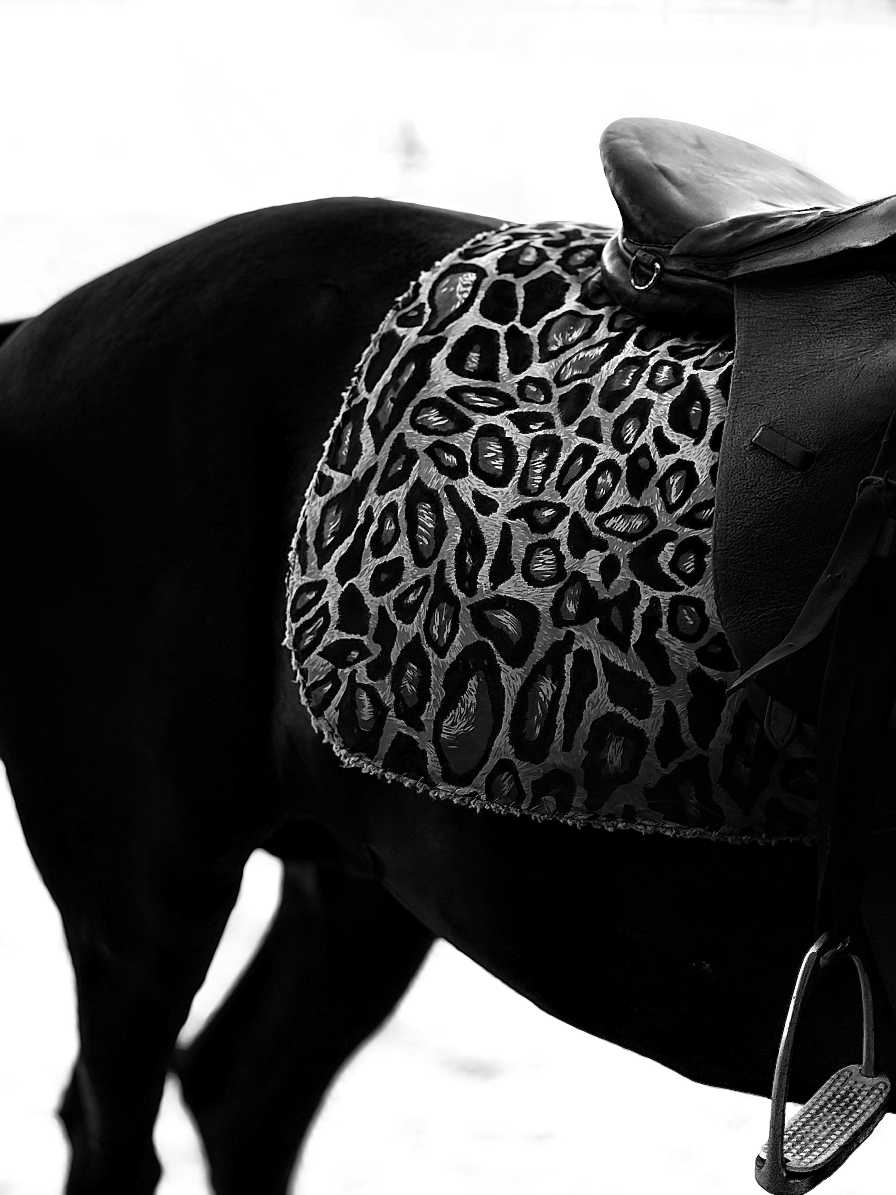 Artistic black and white photo of a horse with a leopard print saddle.