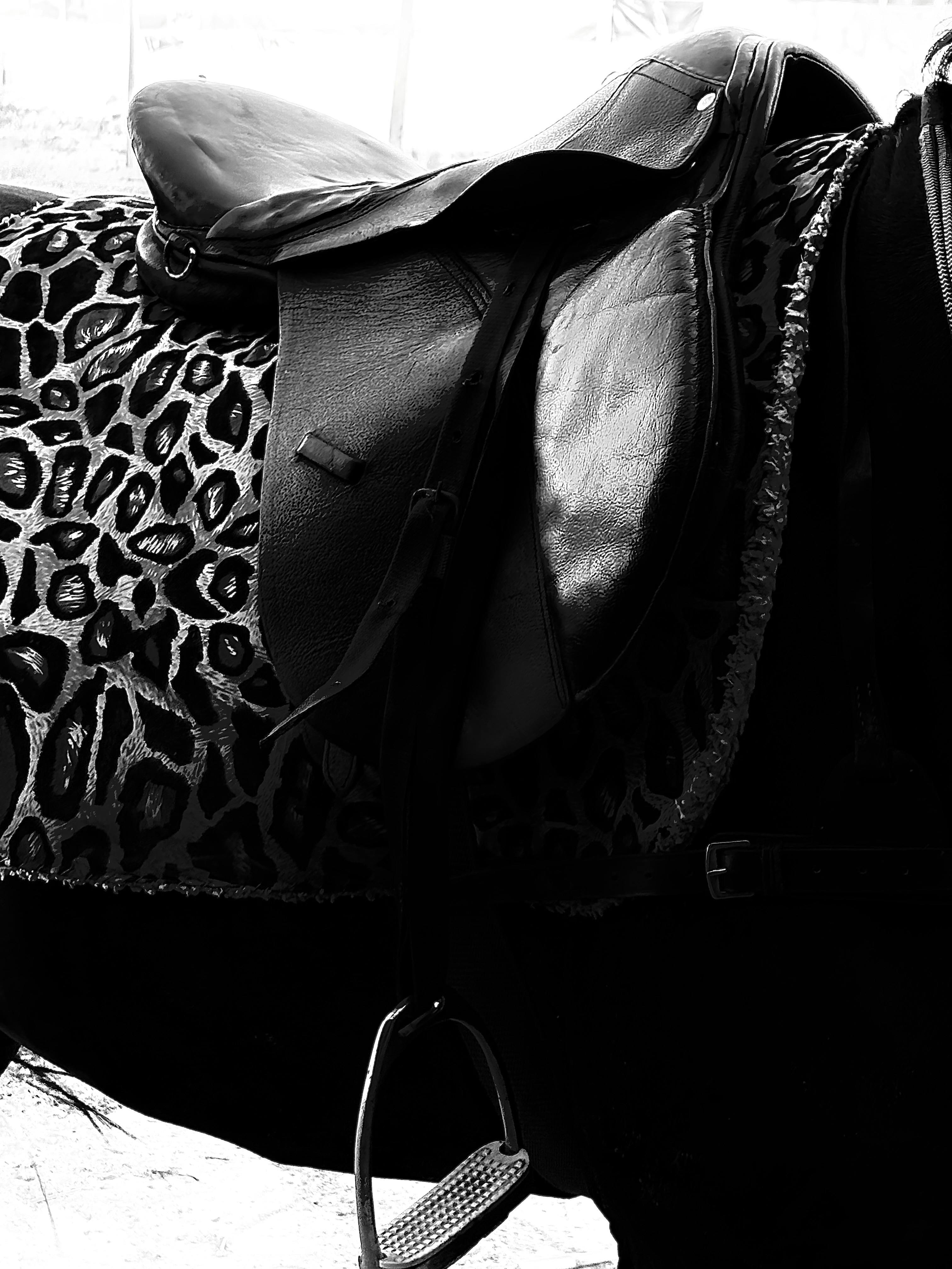Close-up of a horse saddle on a leopard print blanket, emphasizing texture and contrast.
