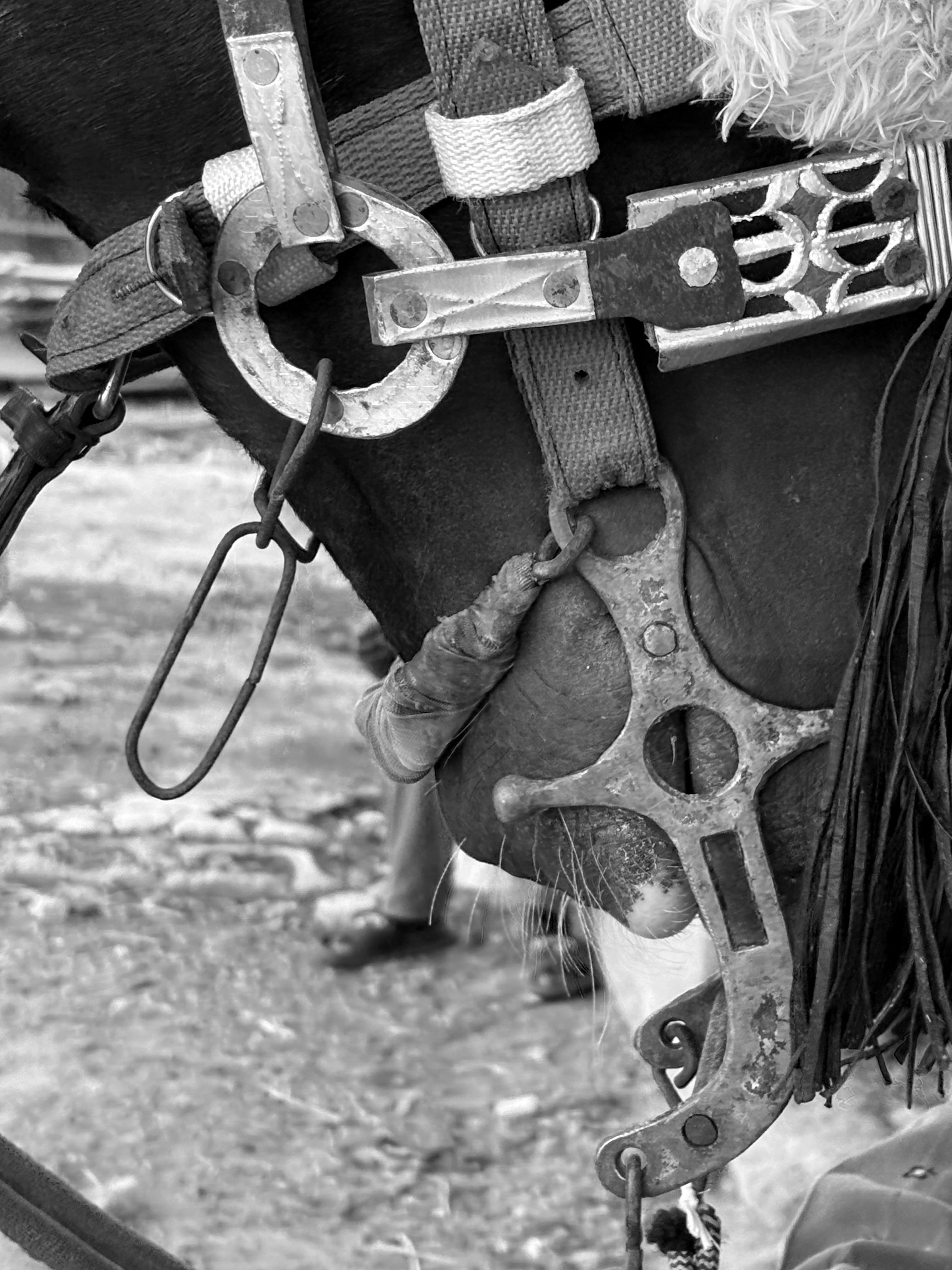 Detailed black and white image of a horse bridle and bit showcasing craftsmanship.