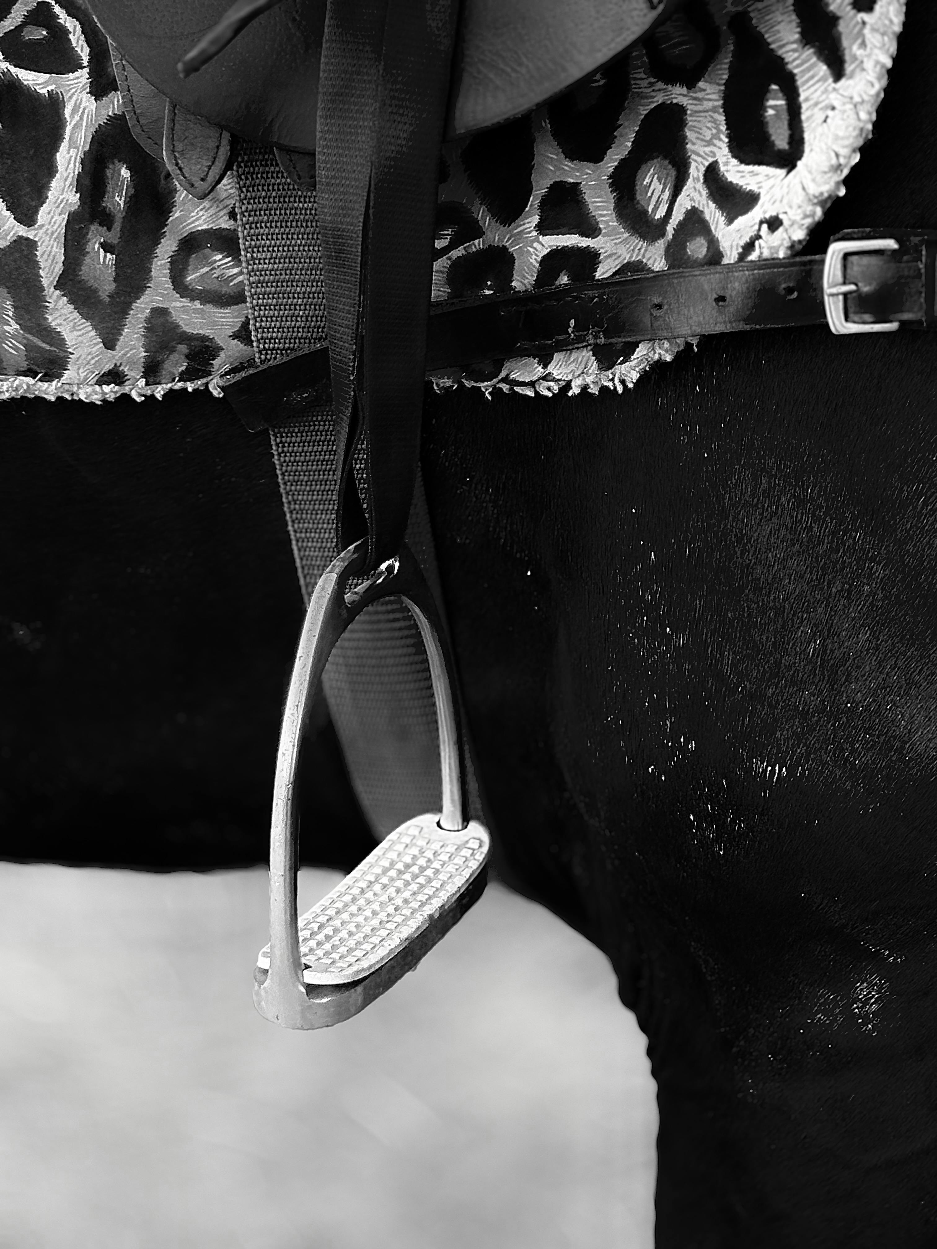 Black and white image showcasing a horse saddle with a stirrup detail.