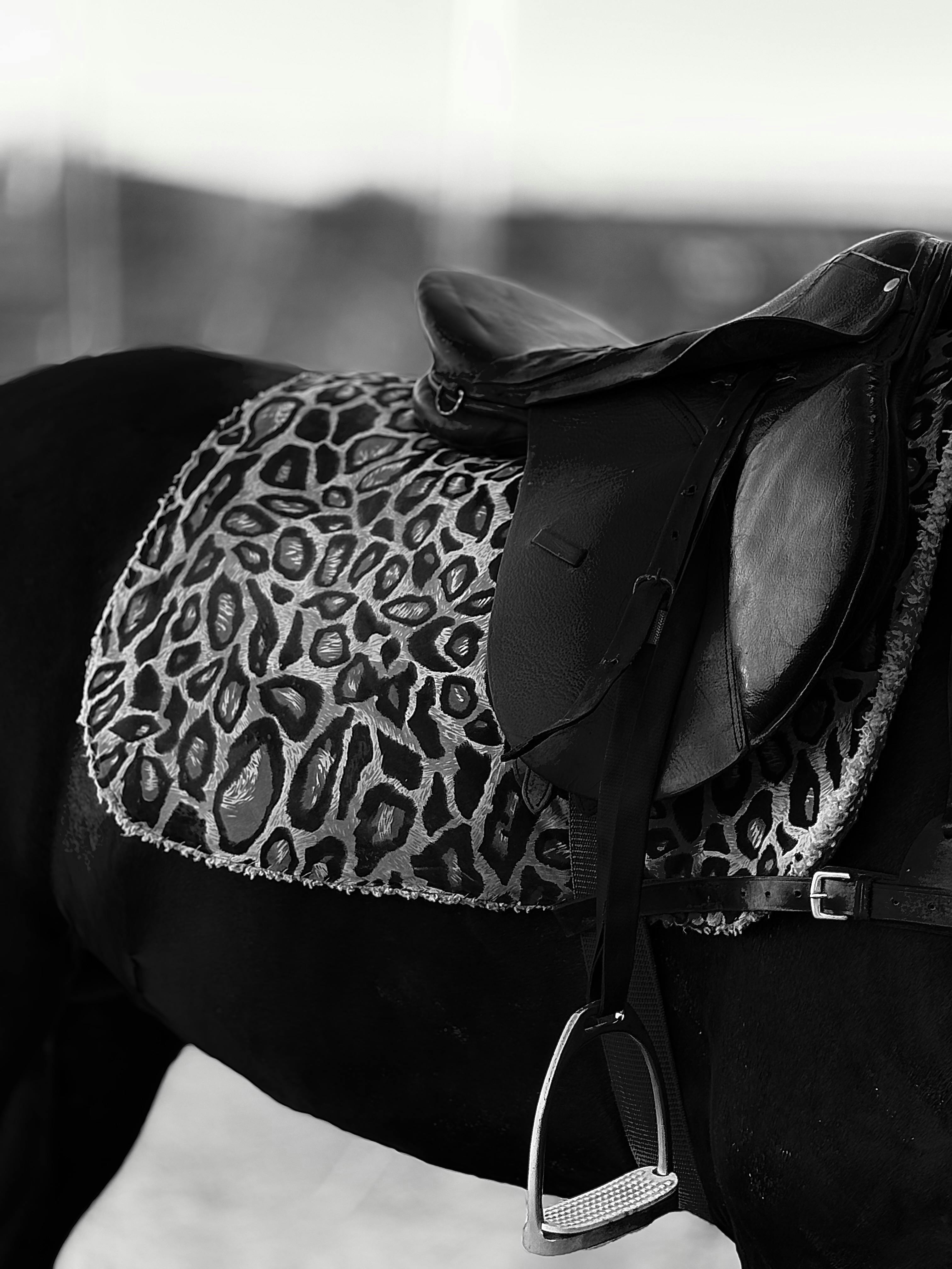 Black and white image of a horse saddle on a leopard print blanket.