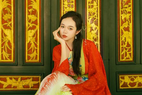 Free Artistic portrait of a Vietnamese woman in historic attire against ornate wood paneling. Stock Photo