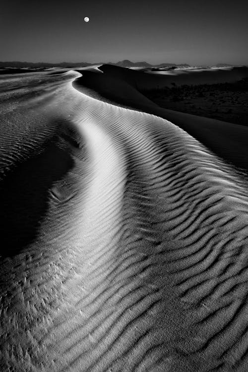 砂漠のモノクロ写真