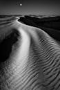 月光下，涟漪沙丘的单色视图捕捉了宁静的沙漠景观