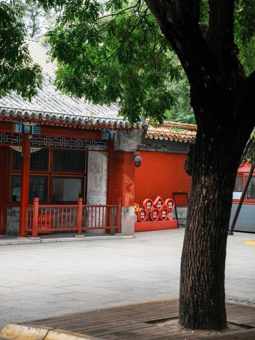 Free A serene view of a traditional Chinese courtyard with vibrant red walls and lush greenery. Stock Photo