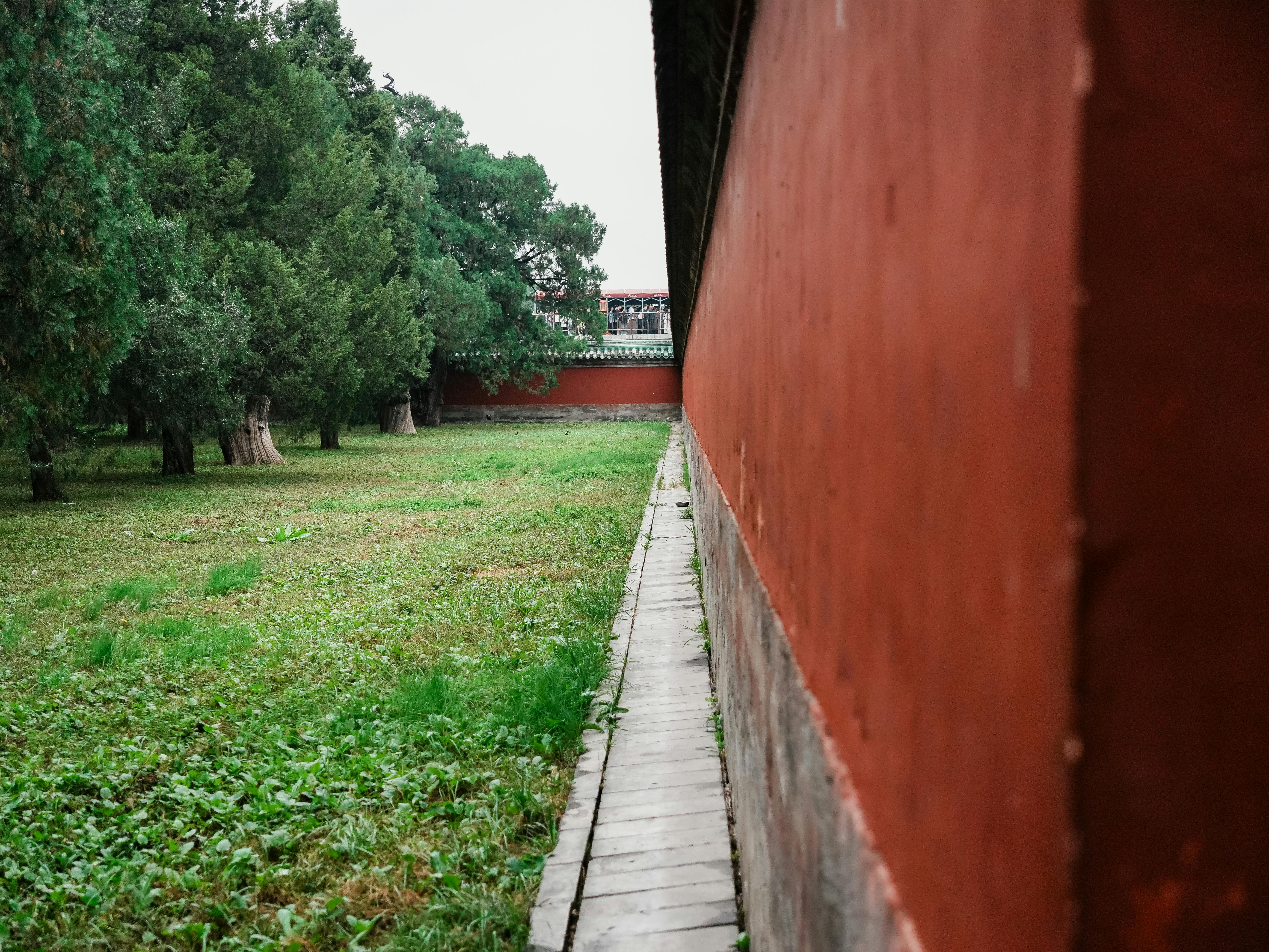 Traditional Chinese Wall with Garden View