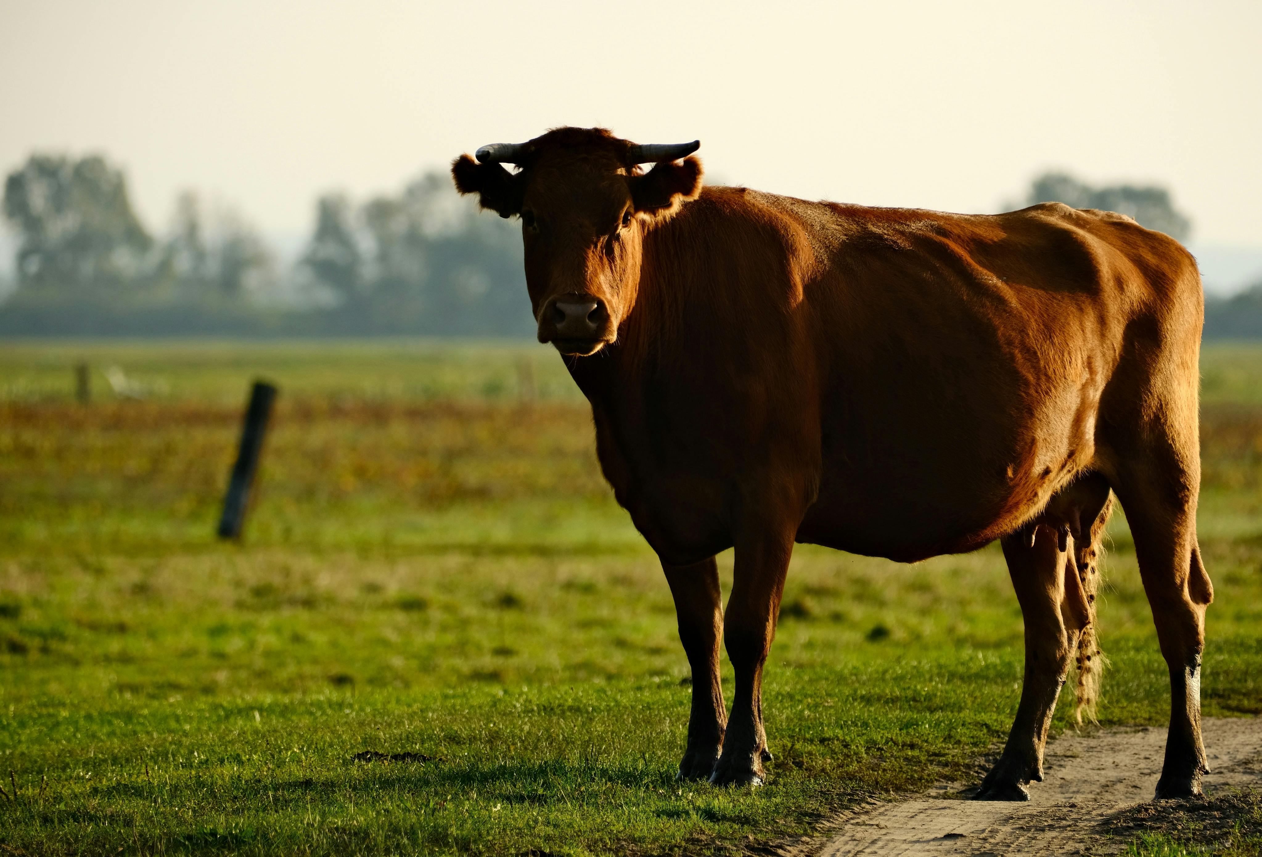 鄭敬淏靜生活哲學：懂得獨處，溫柔照顧真正的自己