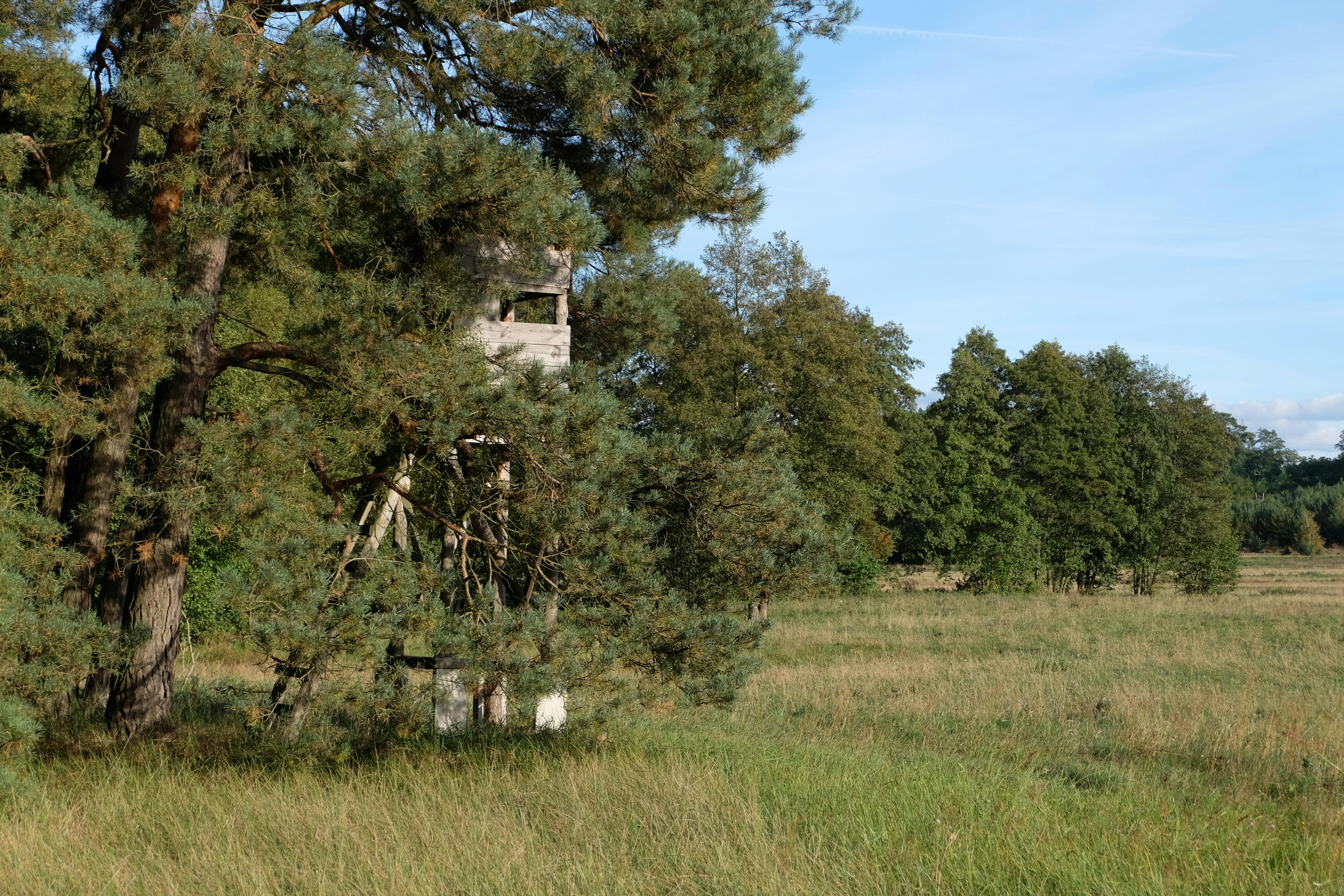 重遊故地 老戰友們：今天生活如你所願的溫暖回憶