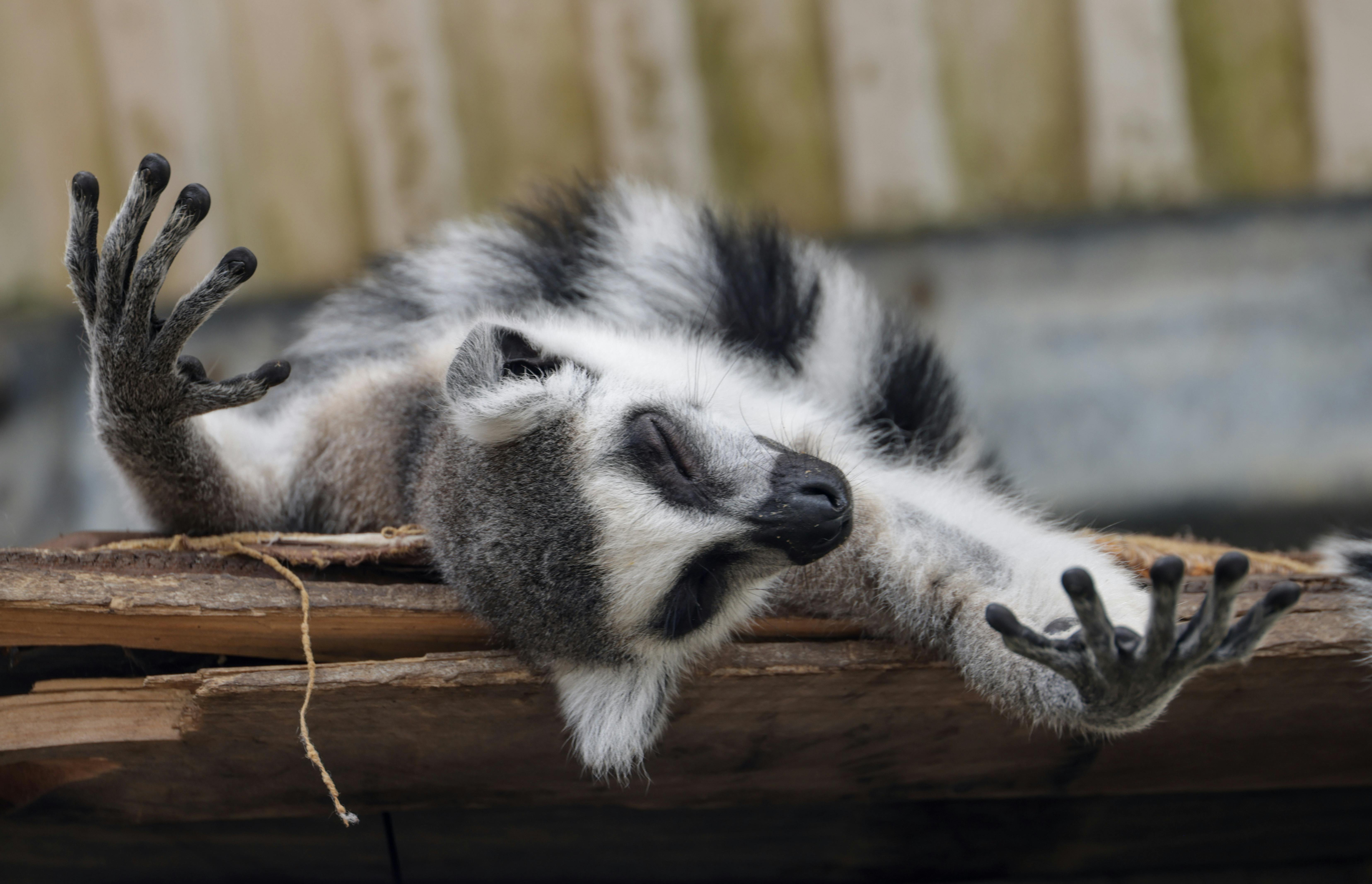 Sleep Hacking Secrets for Instant Relaxation