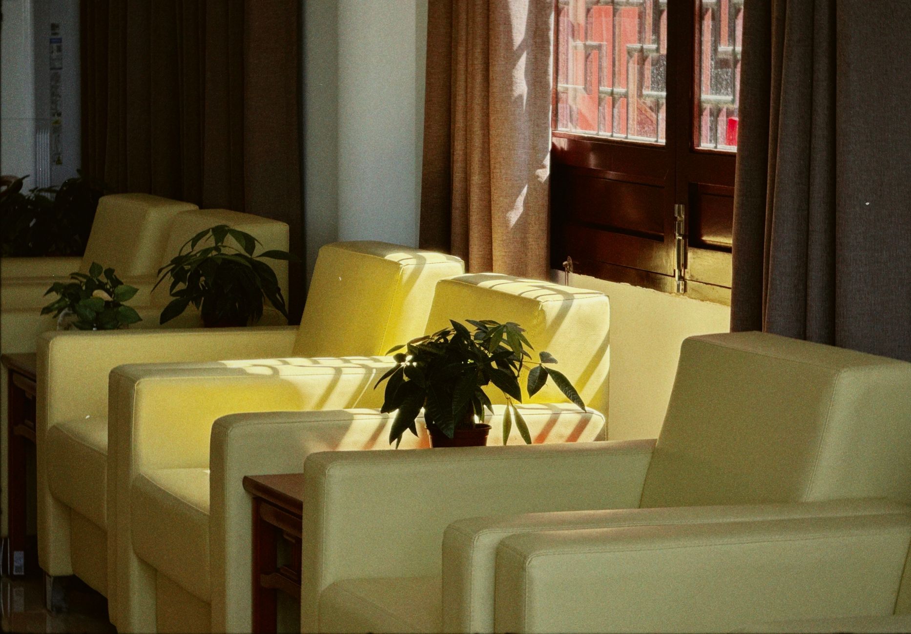 Cozy indoor lounge with yellow armchairs and potted plants in sunlight, casting warm shadows.
