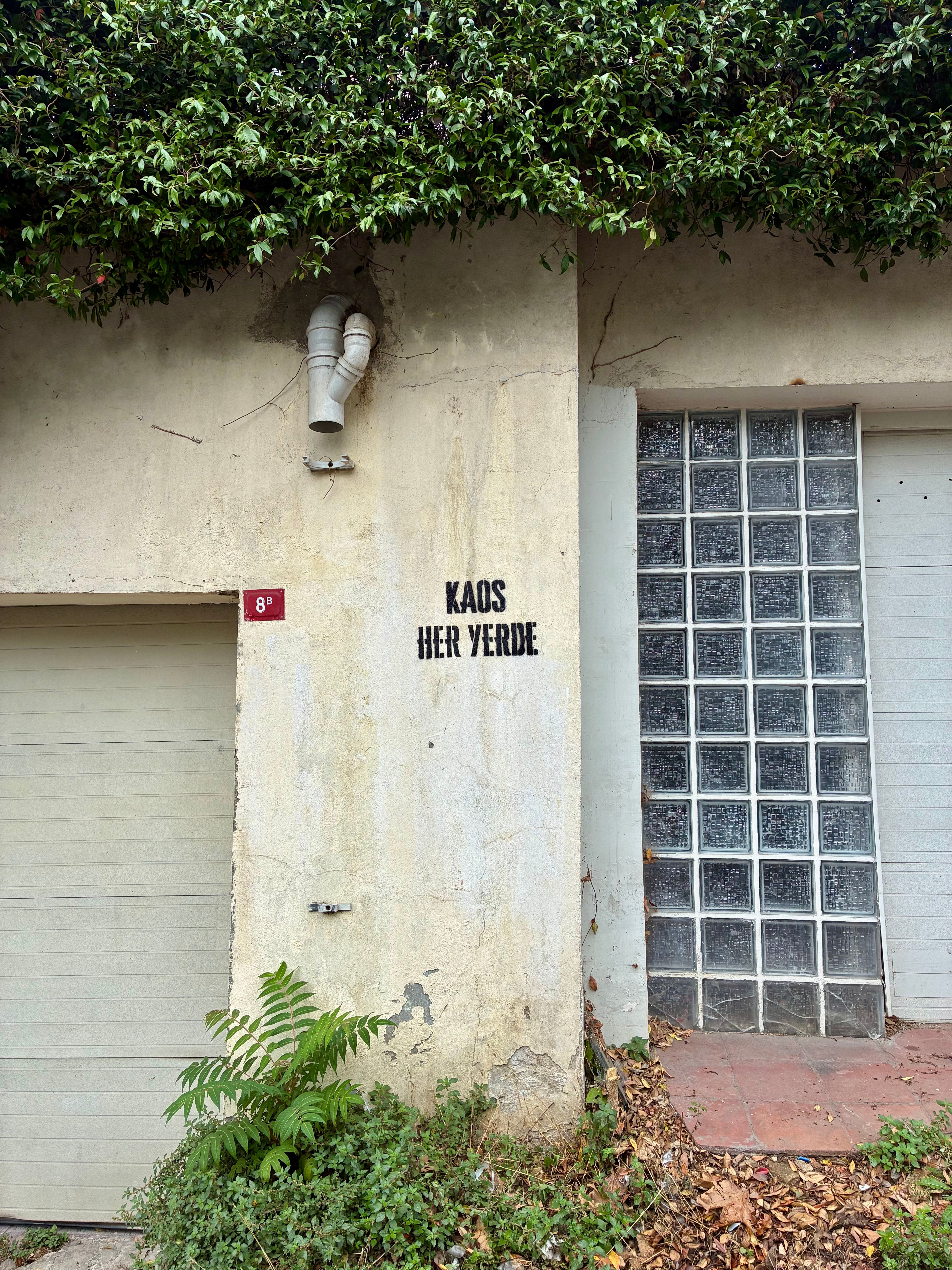 Street view of a worn wall with graffiti and ivy, creating a rustic urban aesthetic.