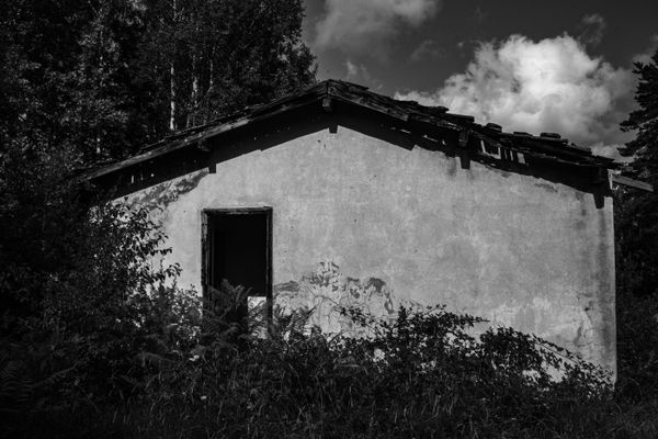 An abandoned house behind dense vegetation, in black and white — photo by Raw Art Shafak on Pexels