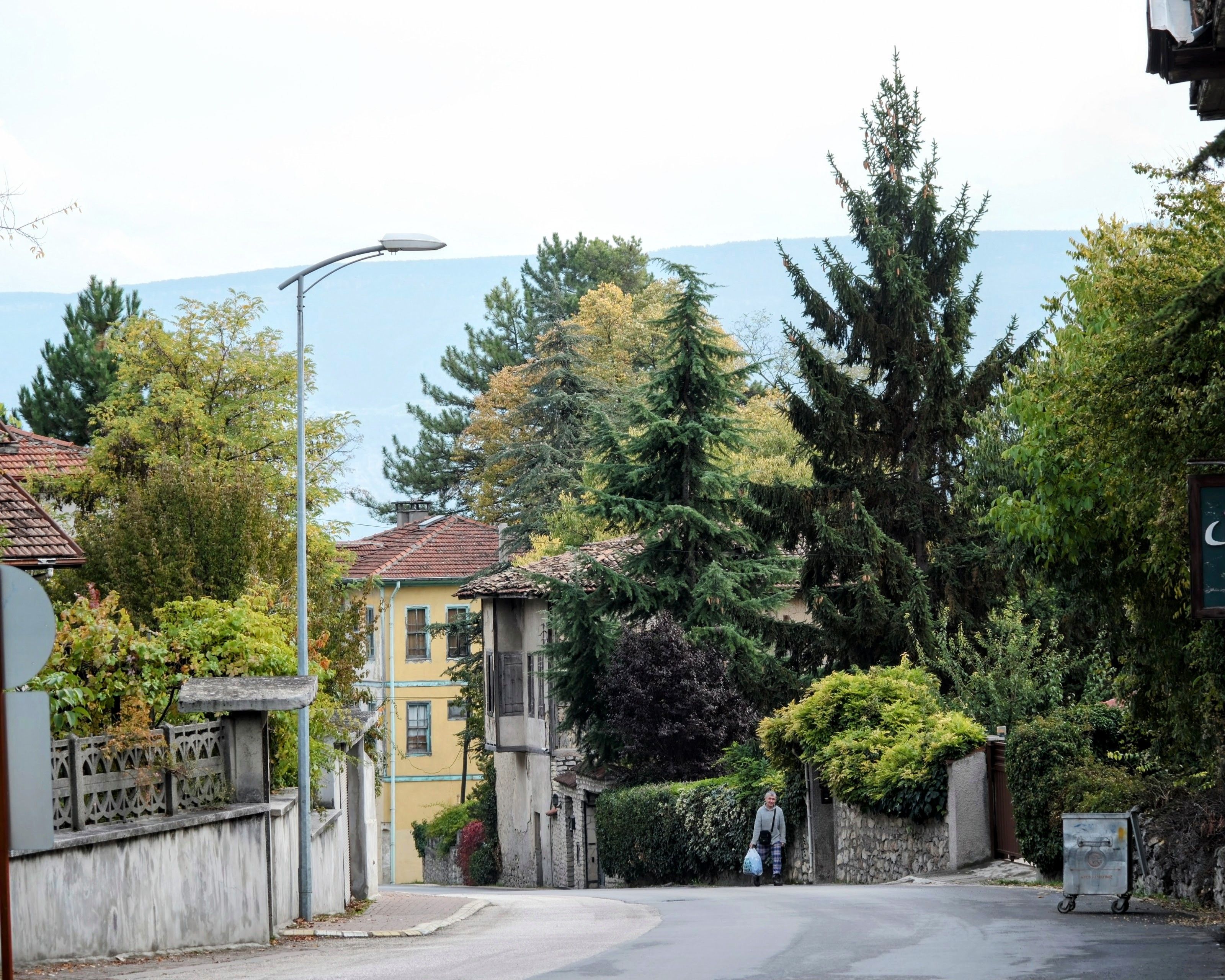 Cetinje