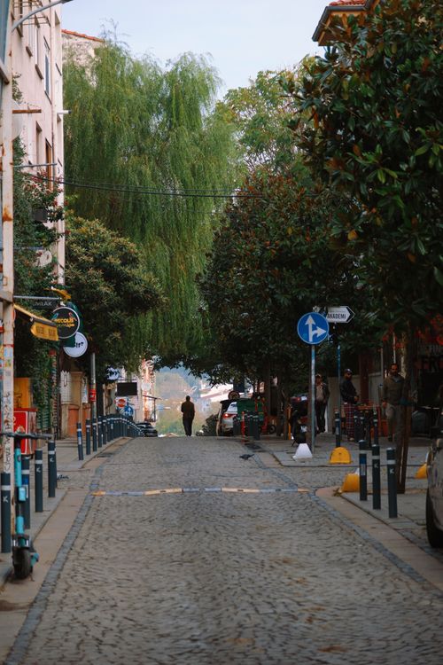 Free Cobblestone street in İstanbul flanked by lush trees and buildings, creating a serene urban scene. Stock Photo