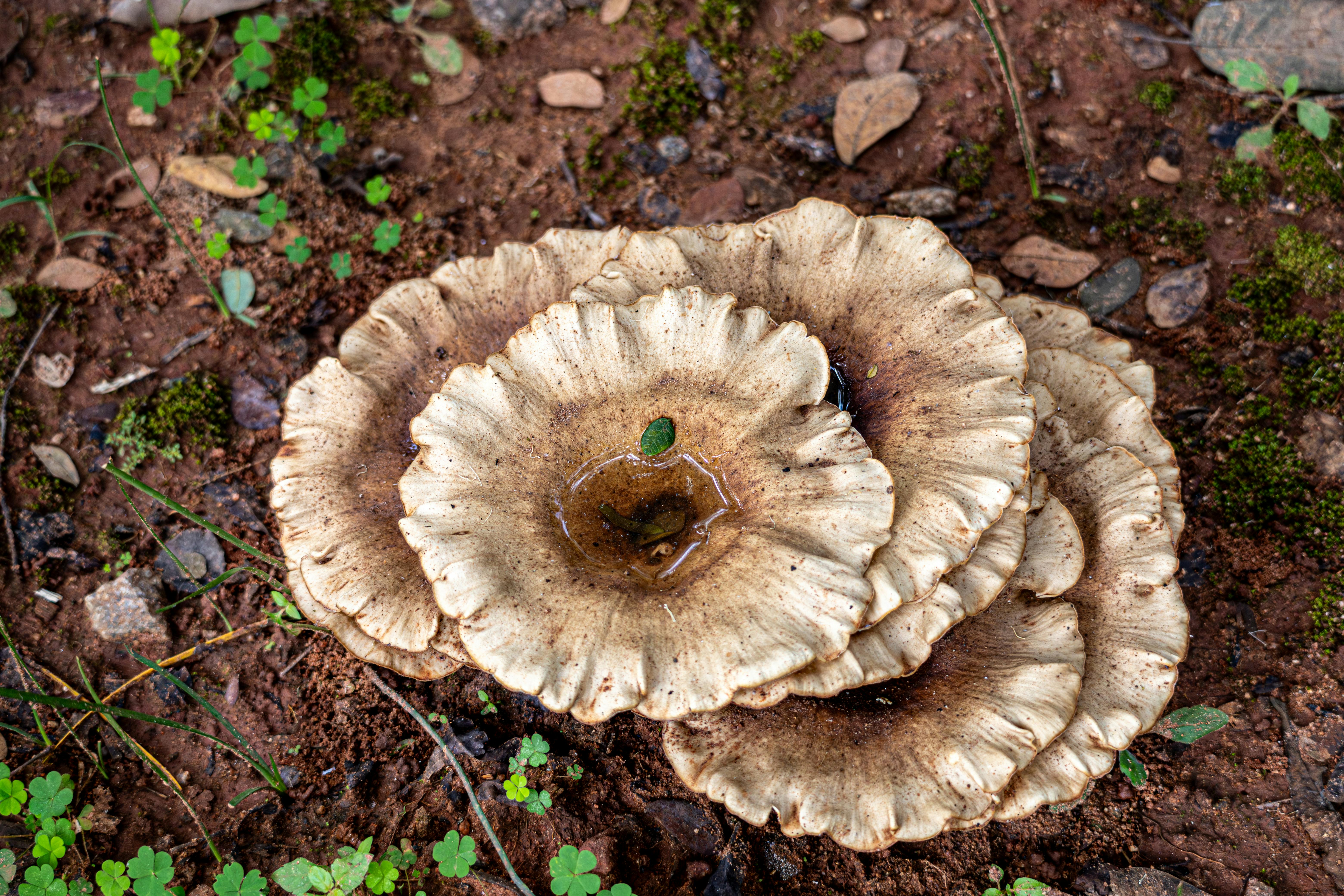偏頭痛頻率大幅降低，調整用藥提升生活品質