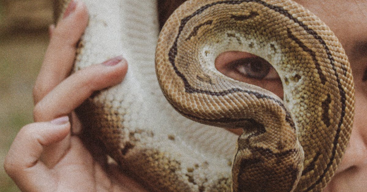 What do i+=1 mean in python