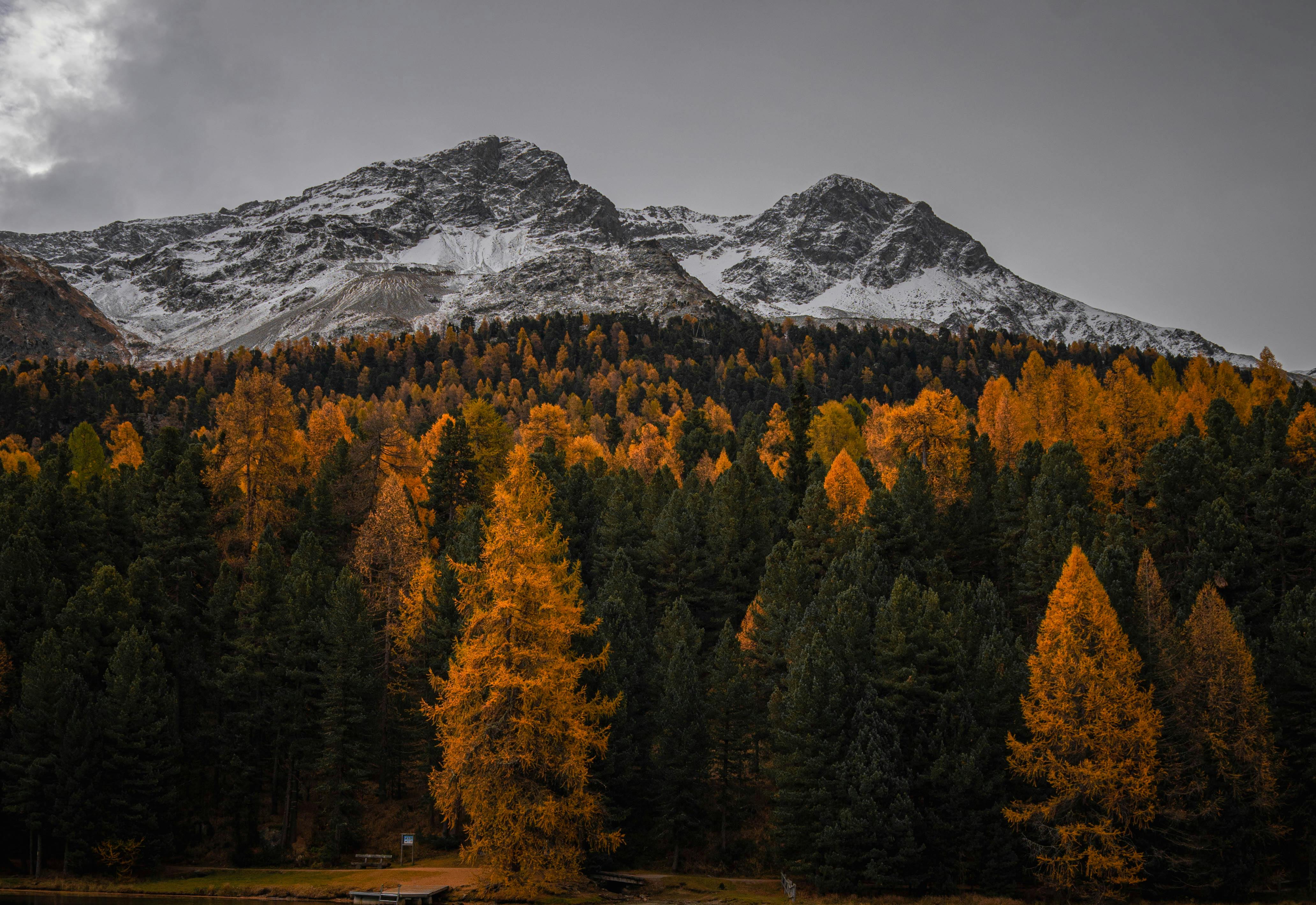 Autumn Landscape in Graubünden, Switzerland · Free Stock Photo, image size:4128x2840