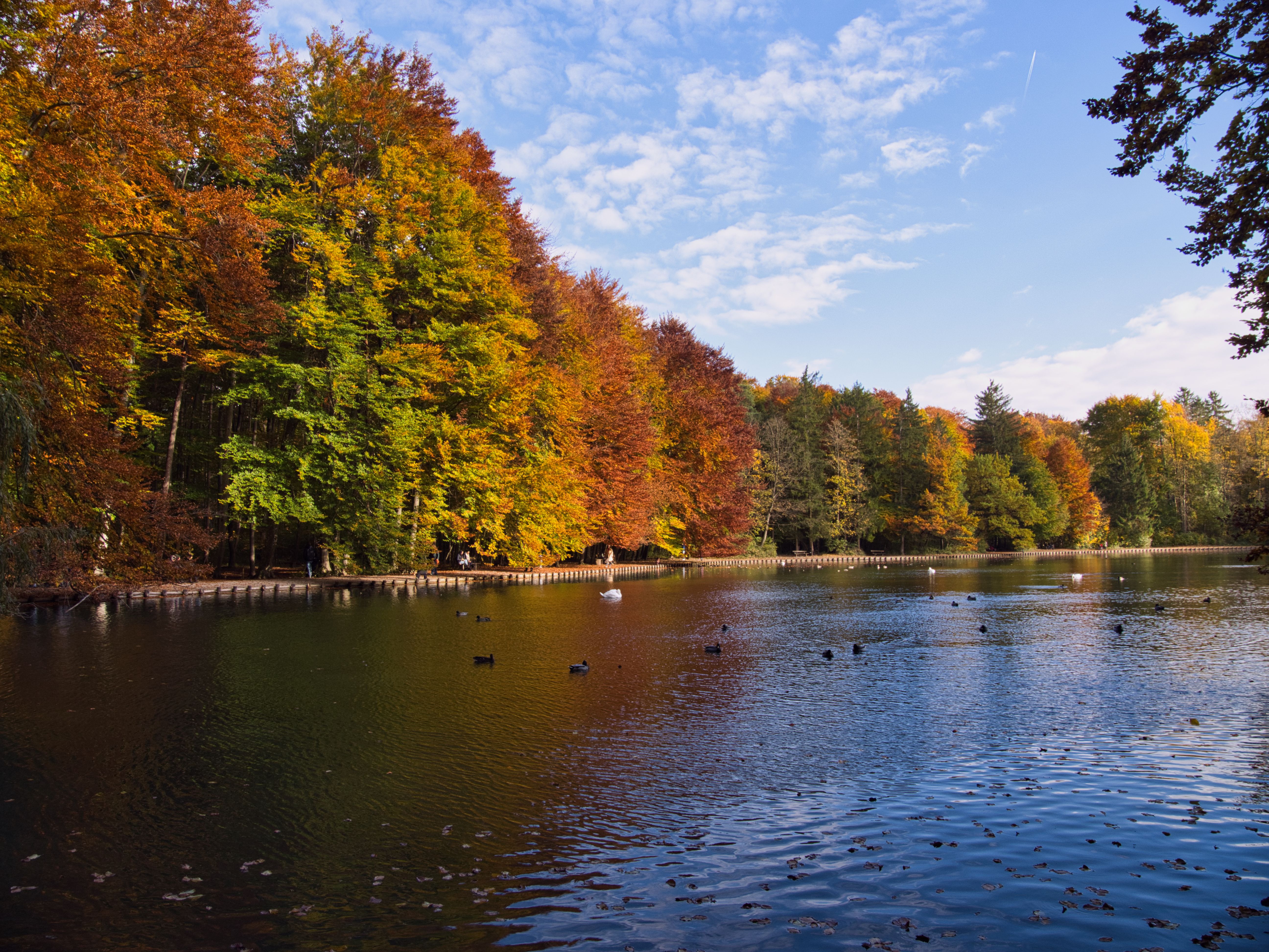 Scenic Autumn Lake Surrounded by Vibrant Foliage · Free Stock Photo