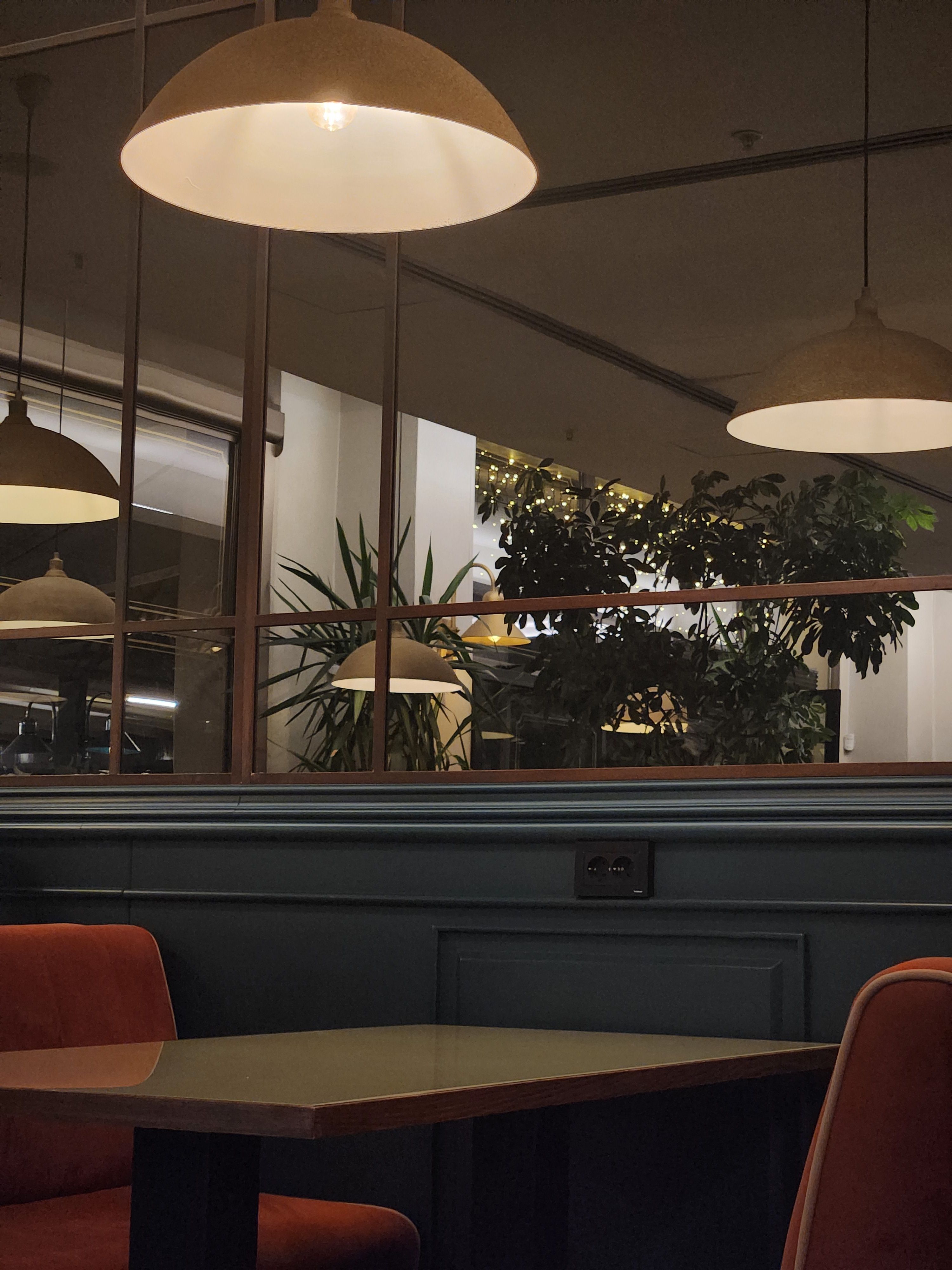 Cozy Cafe Interior with Natural Light and Greenery · Free Stock Photo