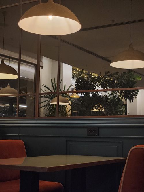 Free Comfortable café setting with warm lighting and indoor plants offering a cozy ambiance. Stock Photo