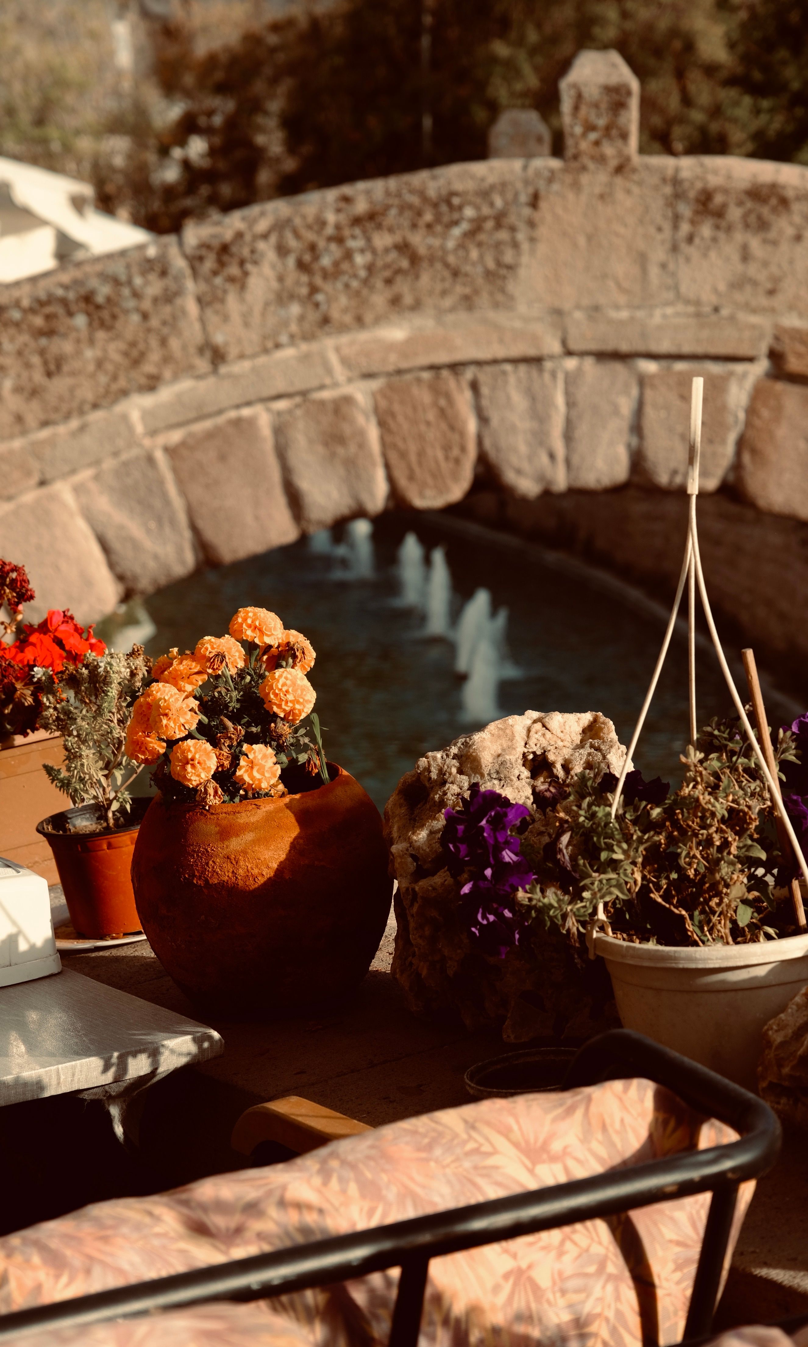 Vibrant potted flowers adorn a cozy terrace near a picturesque stone bridge.