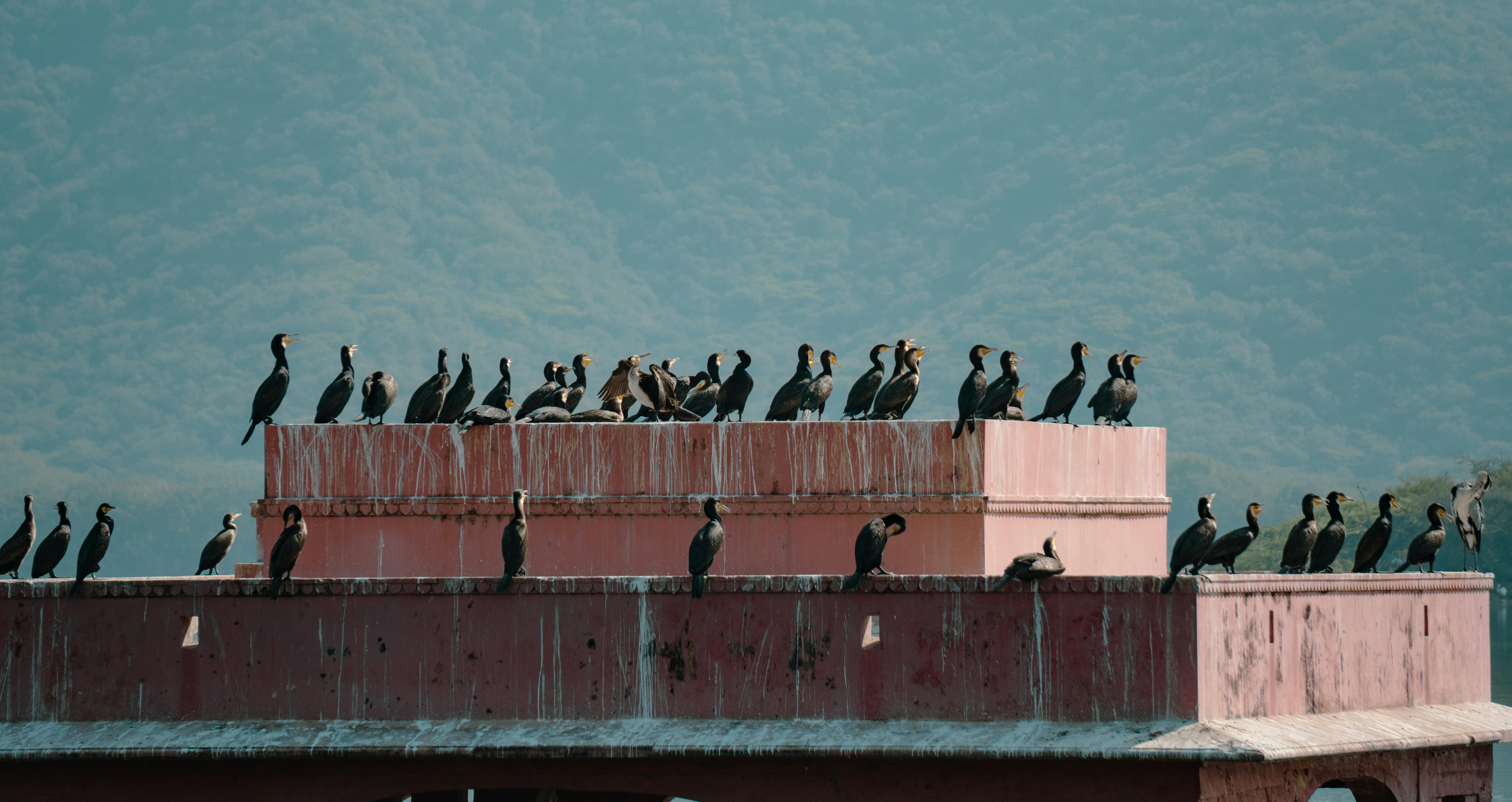 重遊故地 老戰友們：今天生活如你所願的溫暖回憶
