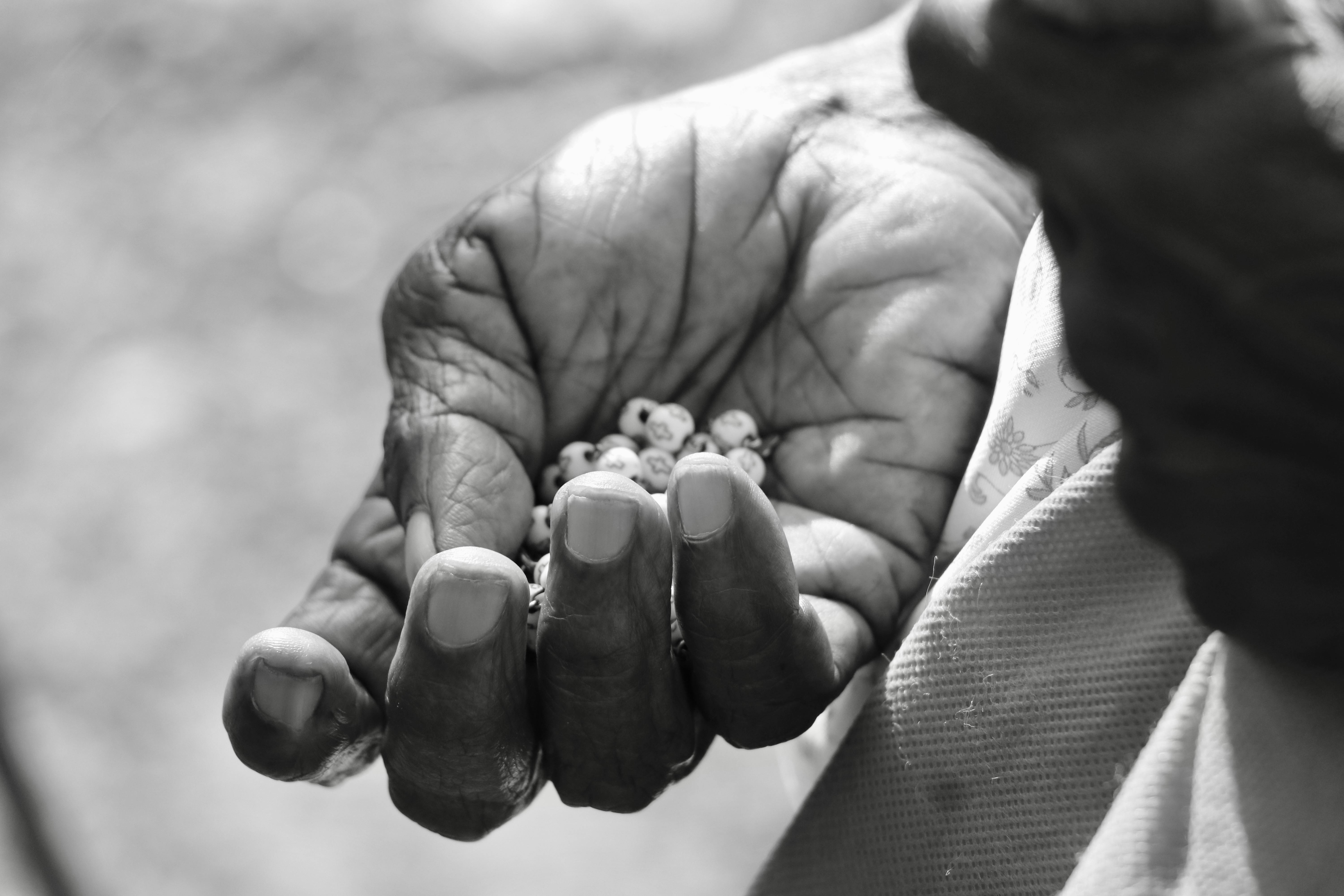Myrciaria cauliflora: Cultivo, Manejo y Fructificación Cauliflora