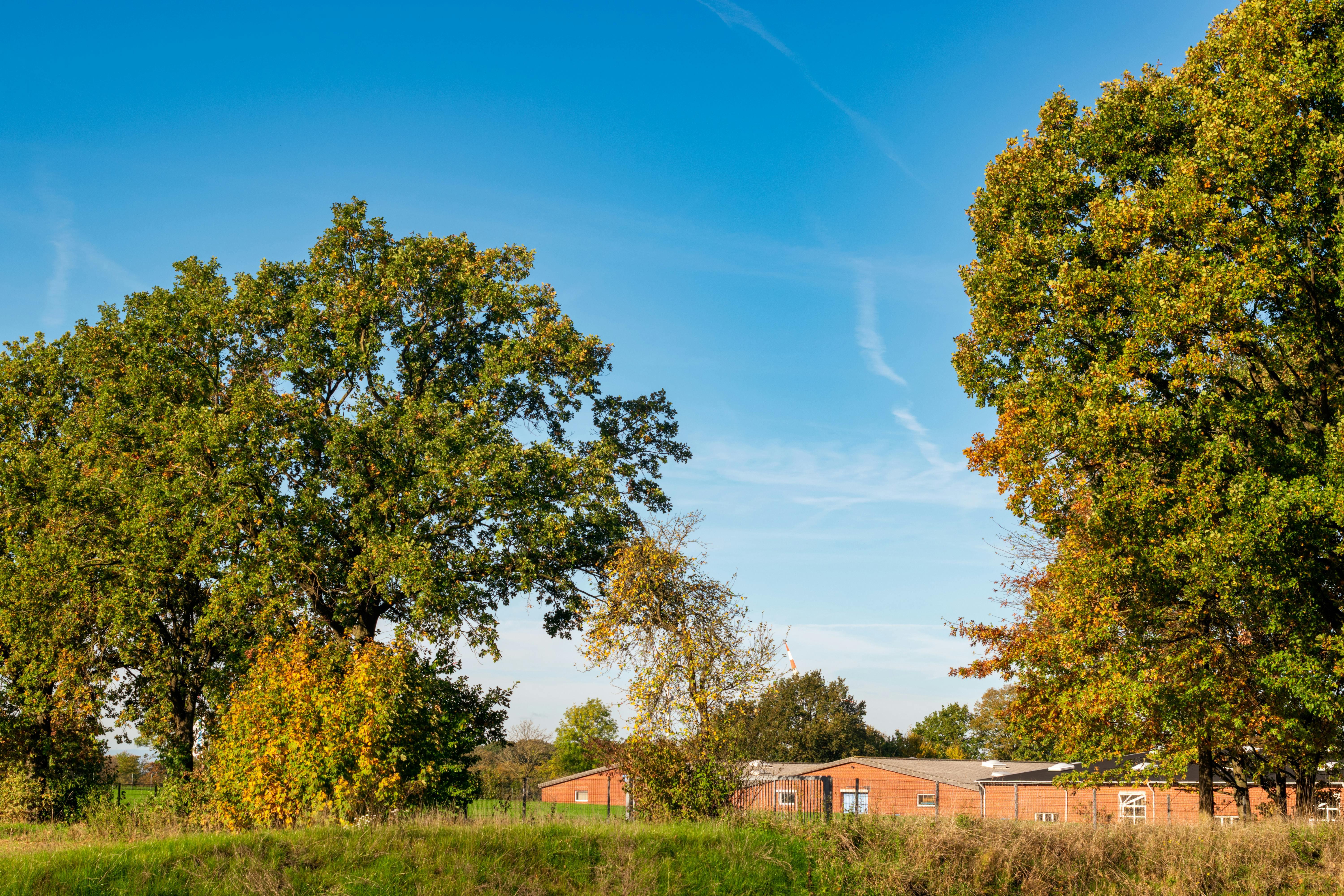 Последний день тепла перед похолоданием