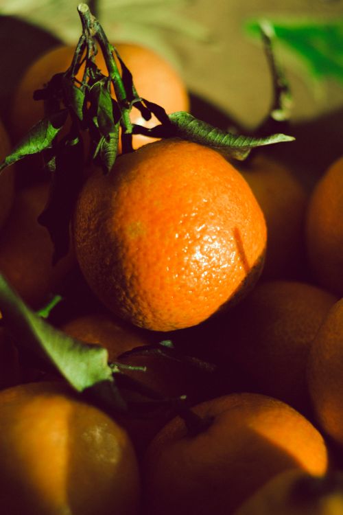 Free Vibrant tangerines with leaves in warm natural light, evoking freshness and organic appeal. Stock Photo