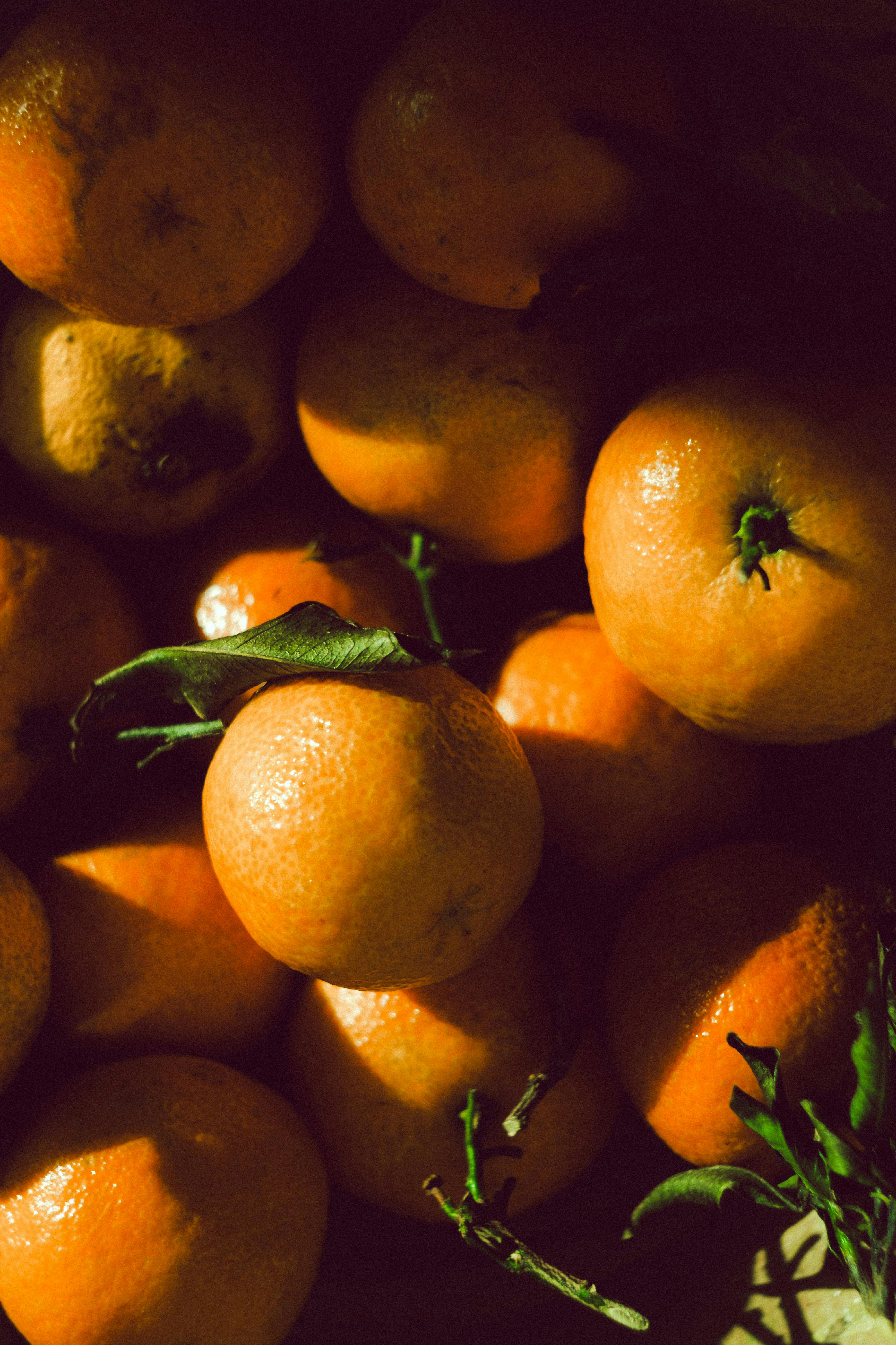 A close-up of ripe oranges in natural sunlight, creating a vibrant, warm mood.
