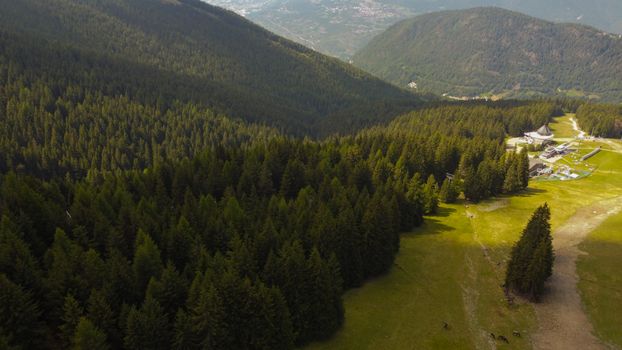 foresta
